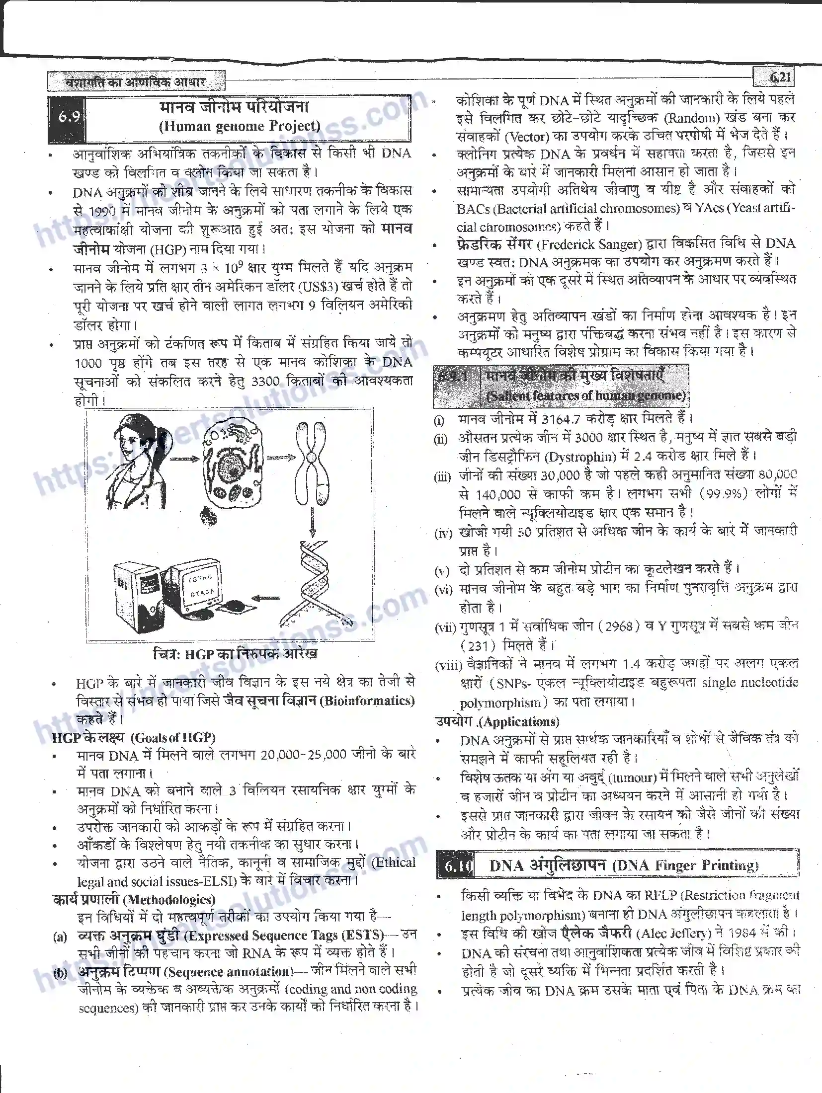 NCERT-Notes-Class-12-जीवand-विज्ञान-वंशागति-का-आणविक-आधार-944-page-21