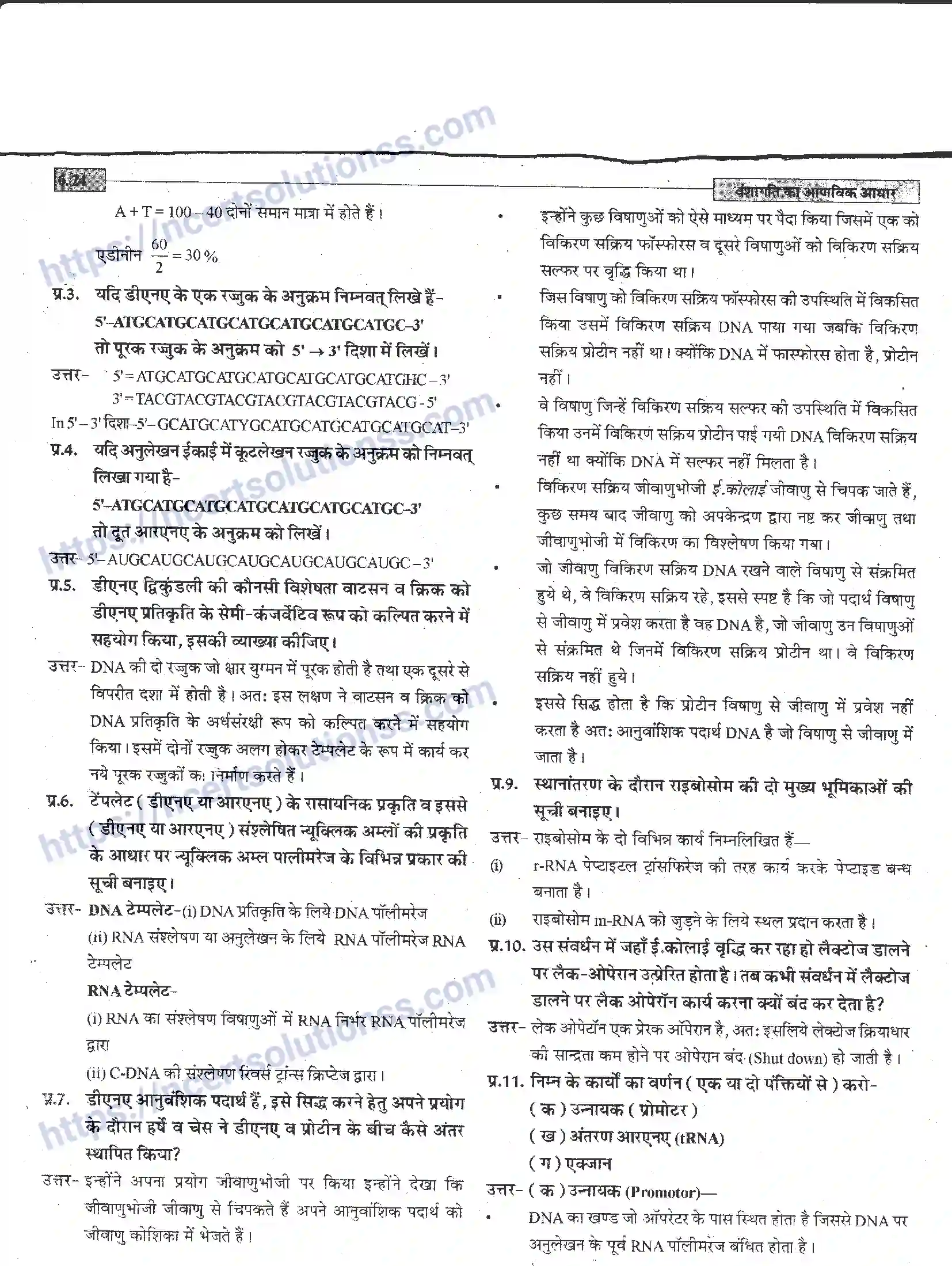 NCERT-Notes-Class-12-जीवand-विज्ञान-वंशागति-का-आणविक-आधार-944-page-24