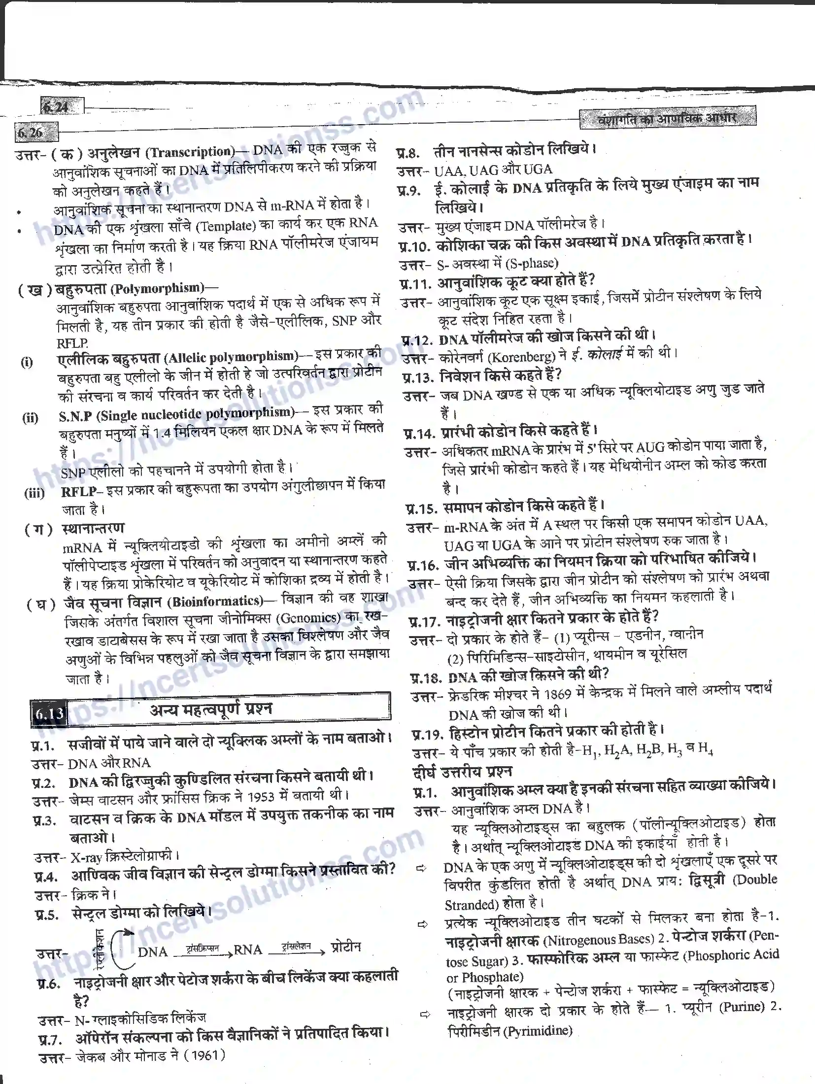 NCERT-Notes-Class-12-जीवand-विज्ञान-वंशागति-का-आणविक-आधार-944-page-26