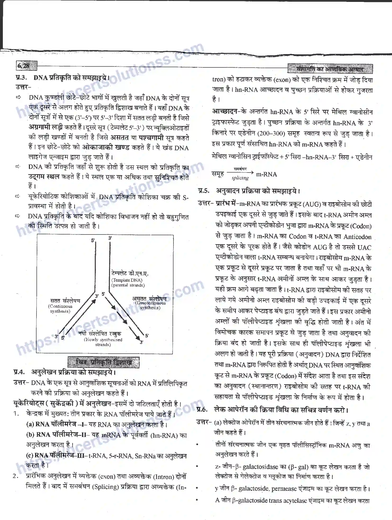 NCERT-Notes-Class-12-जीवand-विज्ञान-वंशागति-का-आणविक-आधार-944-page-28