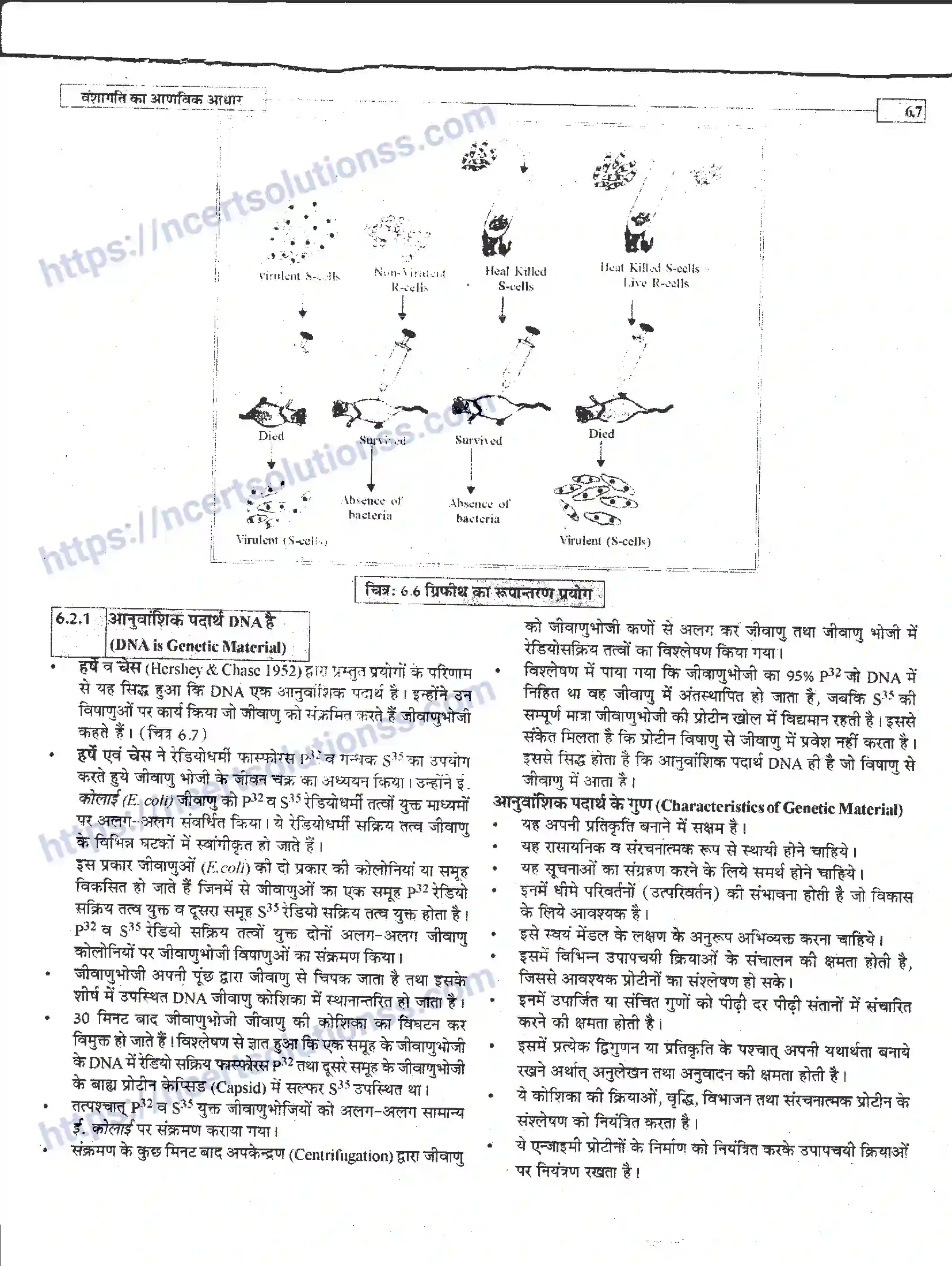 NCERT-Notes-Class-12-जीवand-विज्ञान-वंशागति-का-आणविक-आधार-944-page-7