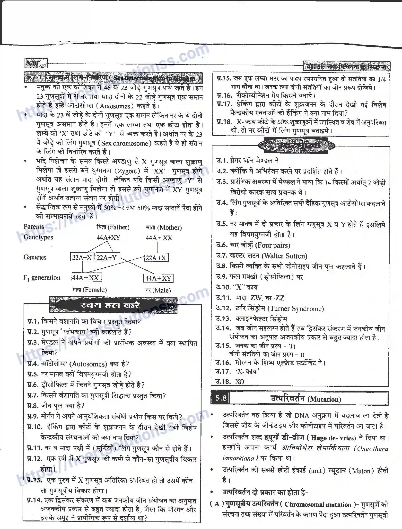 NCERT-Notes-Class-12-जीवand-विज्ञान-वंशागति-तथा-विविधता-के-सिद्धांत-943-page-10