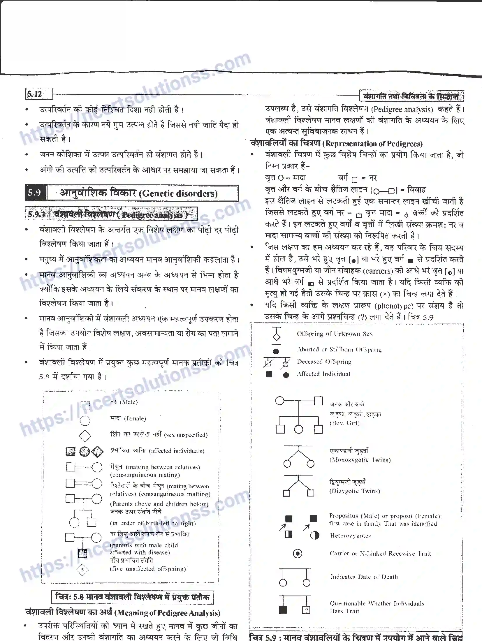 NCERT-Notes-Class-12-जीवand-विज्ञान-वंशागति-तथा-विविधता-के-सिद्धांत-943-page-12