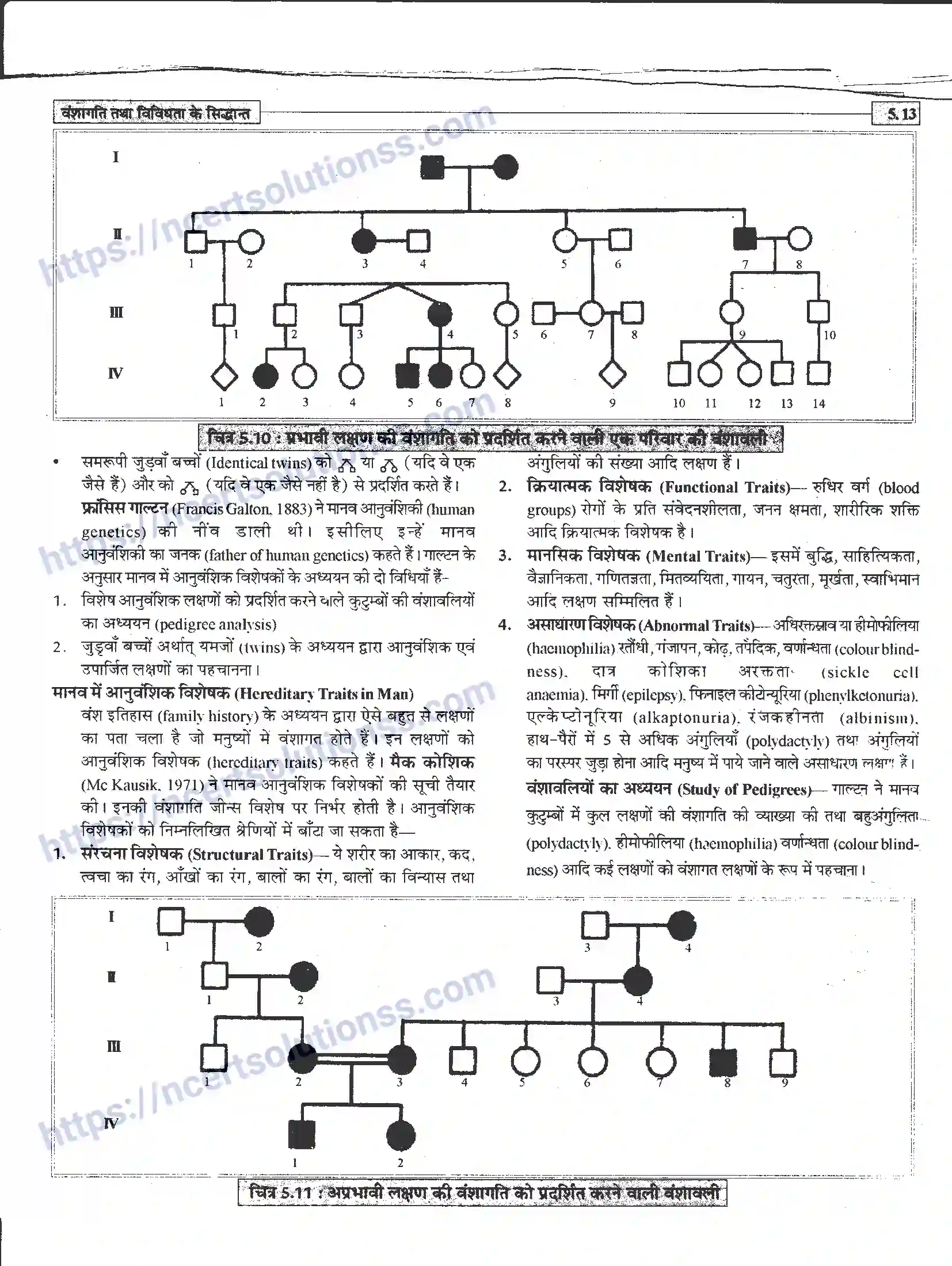 NCERT-Notes-Class-12-जीवand-विज्ञान-वंशागति-तथा-विविधता-के-सिद्धांत-943-page-13