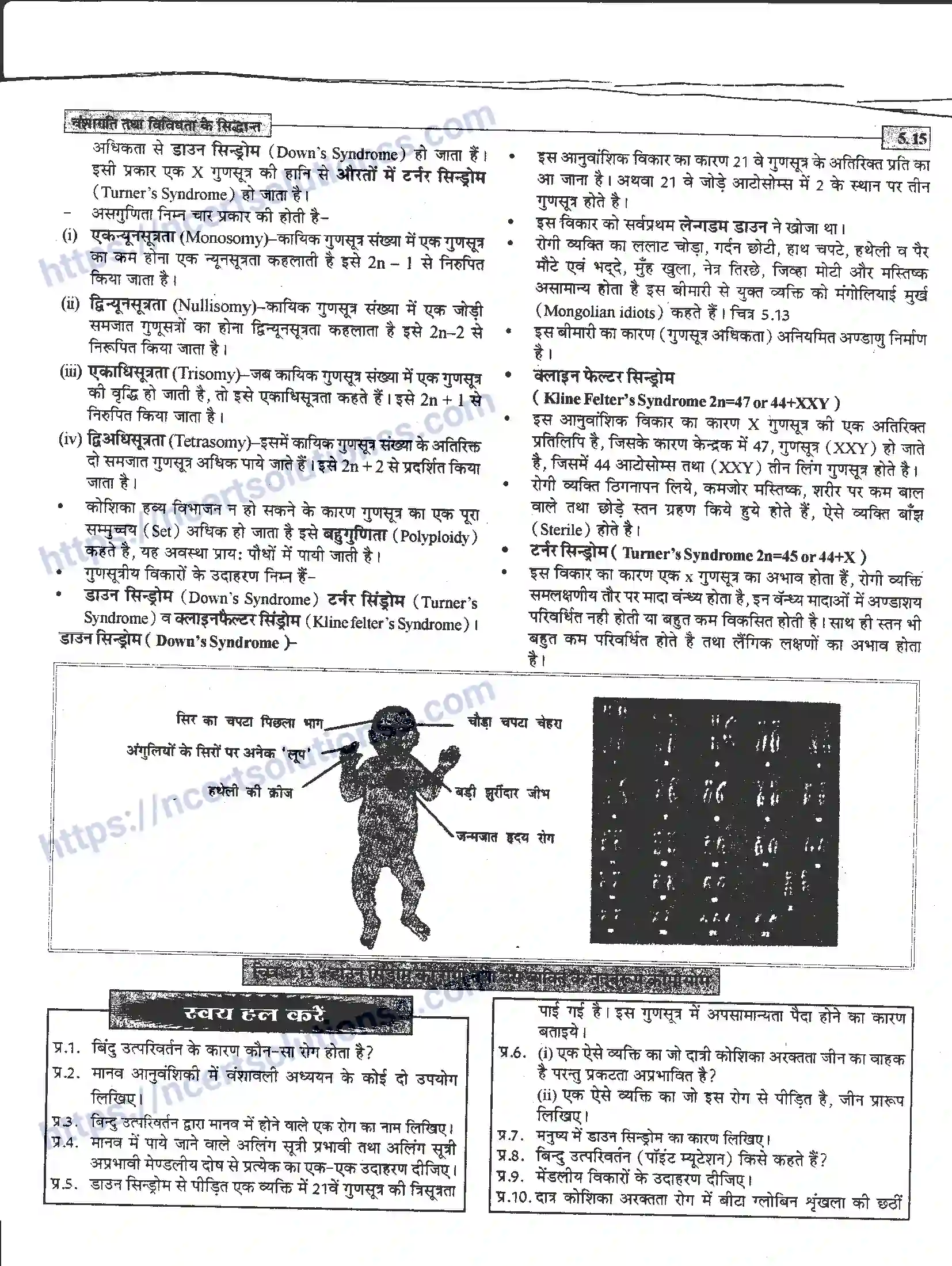 NCERT-Notes-Class-12-जीवand-विज्ञान-वंशागति-तथा-विविधता-के-सिद्धांत-943-page-15