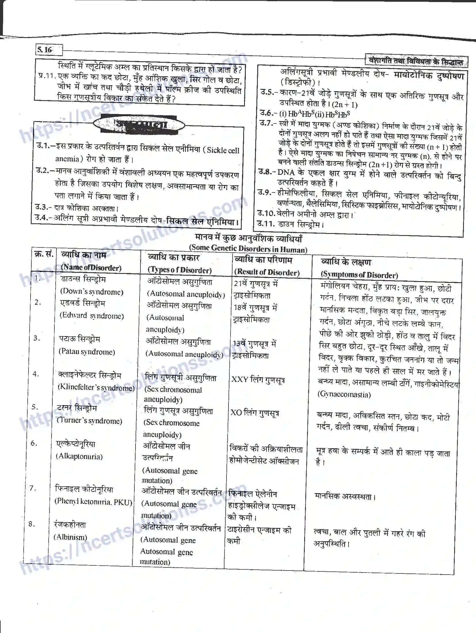 NCERT-Notes-Class-12-जीवand-विज्ञान-वंशागति-तथा-विविधता-के-सिद्धांत-943-page-16