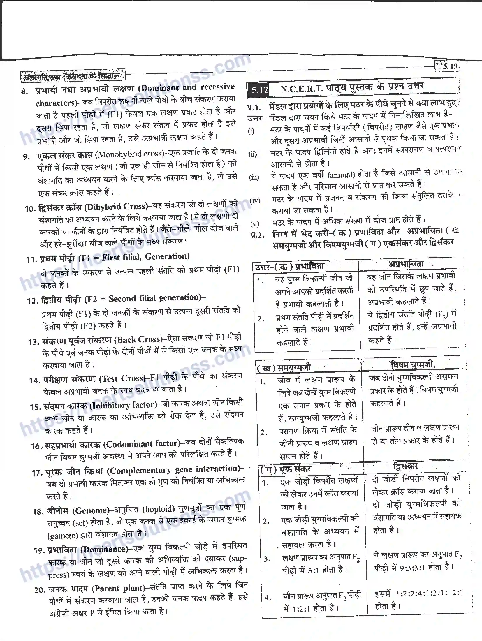 NCERT-Notes-Class-12-जीवand-विज्ञान-वंशागति-तथा-विविधता-के-सिद्धांत-943-page-19