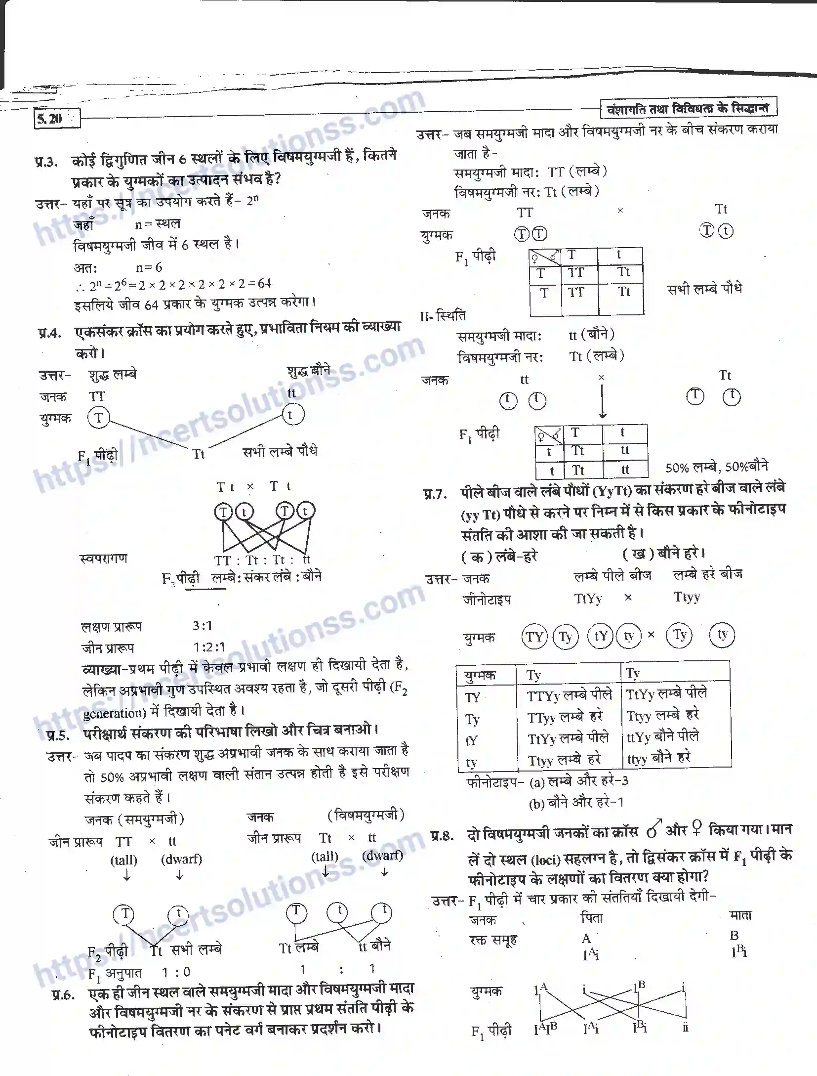 NCERT-Notes-Class-12-जीवand-विज्ञान-वंशागति-तथा-विविधता-के-सिद्धांत-943-page-20