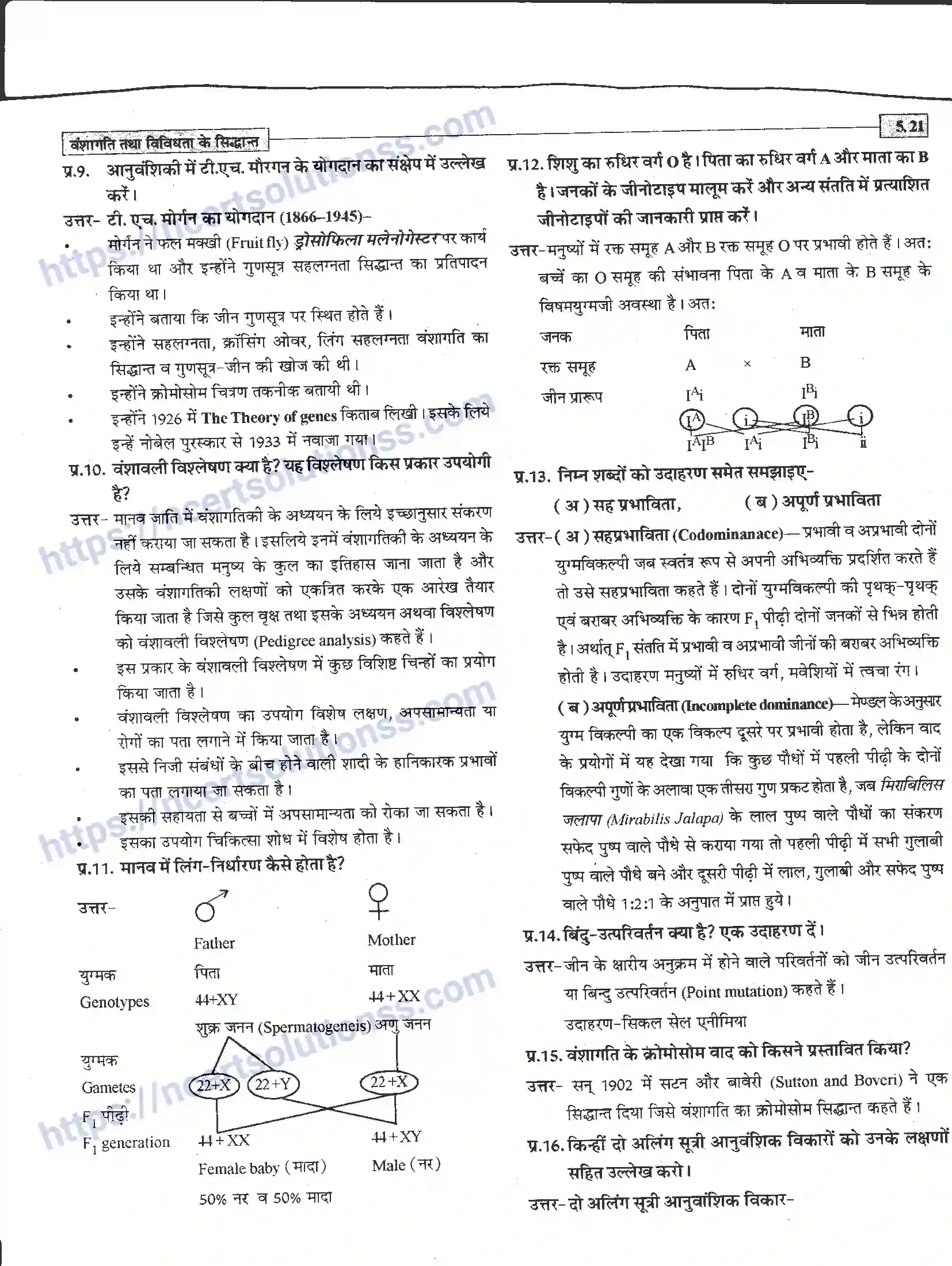 NCERT-Notes-Class-12-जीवand-विज्ञान-वंशागति-तथा-विविधता-के-सिद्धांत-943-page-21
