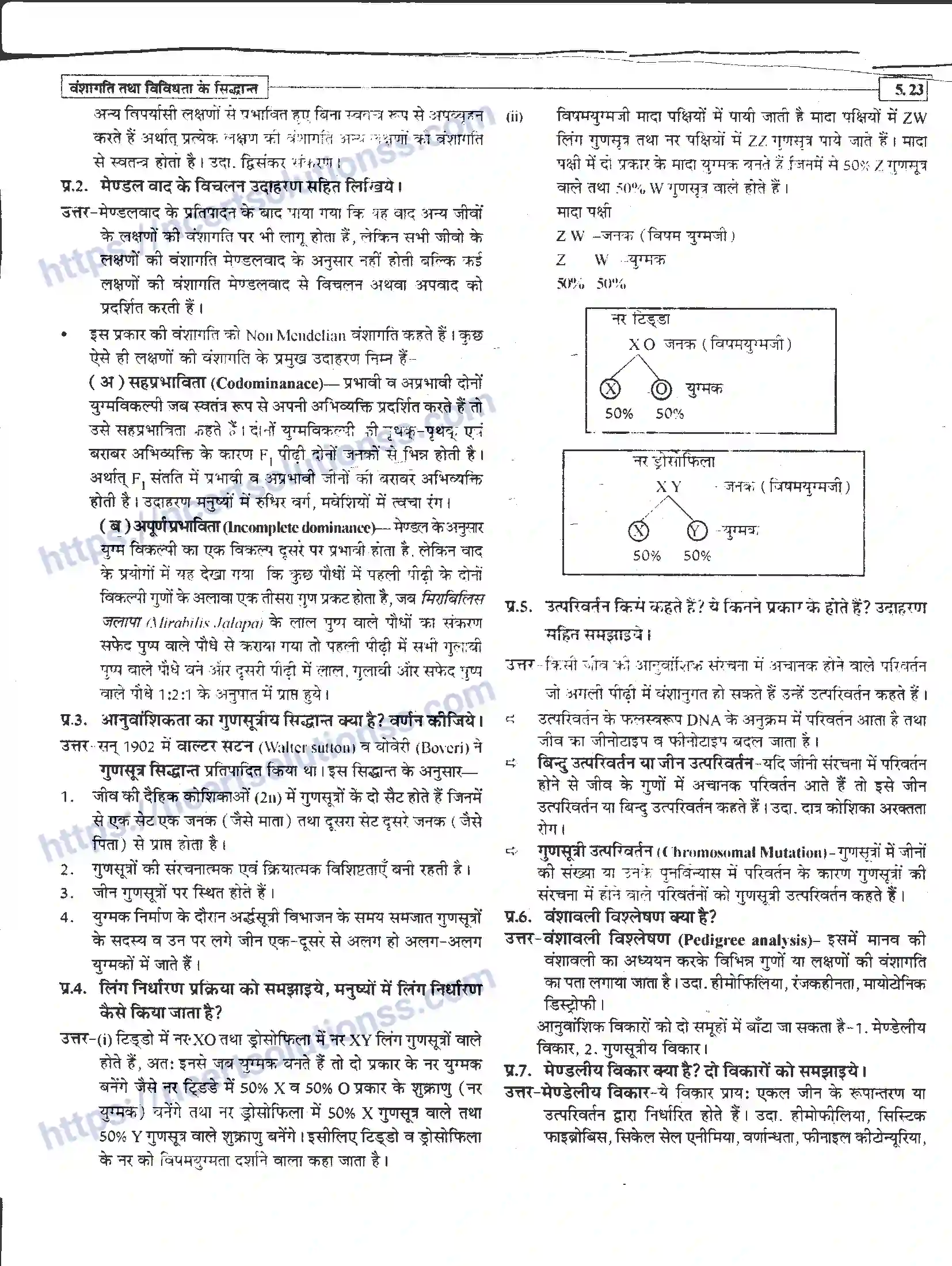 NCERT-Notes-Class-12-जीवand-विज्ञान-वंशागति-तथा-विविधता-के-सिद्धांत-943-page-23