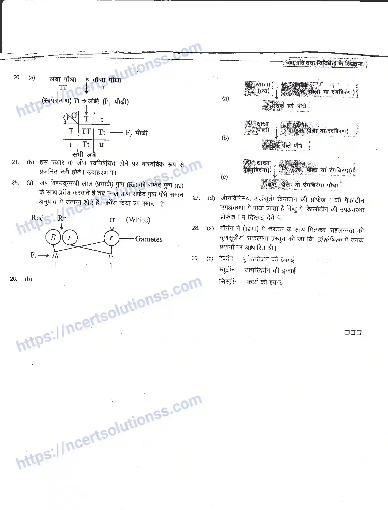 NCERT-Notes-Class-12-जीवand-विज्ञान-वंशागति-तथा-विविधता-के-सिद्धांत-943-page-28