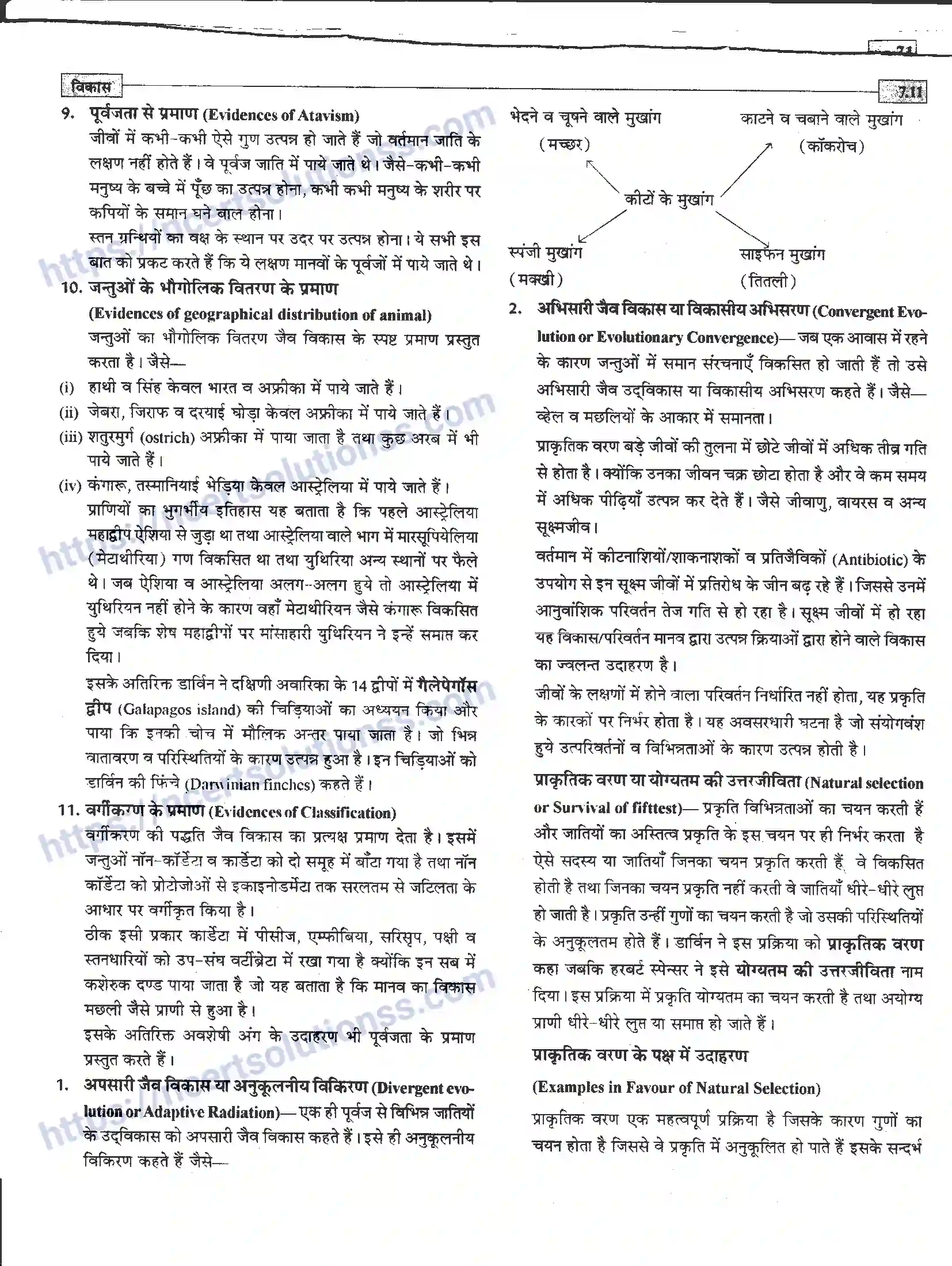 NCERT-Notes-Class-12-जीवand-विज्ञान-विकास-945-page-11