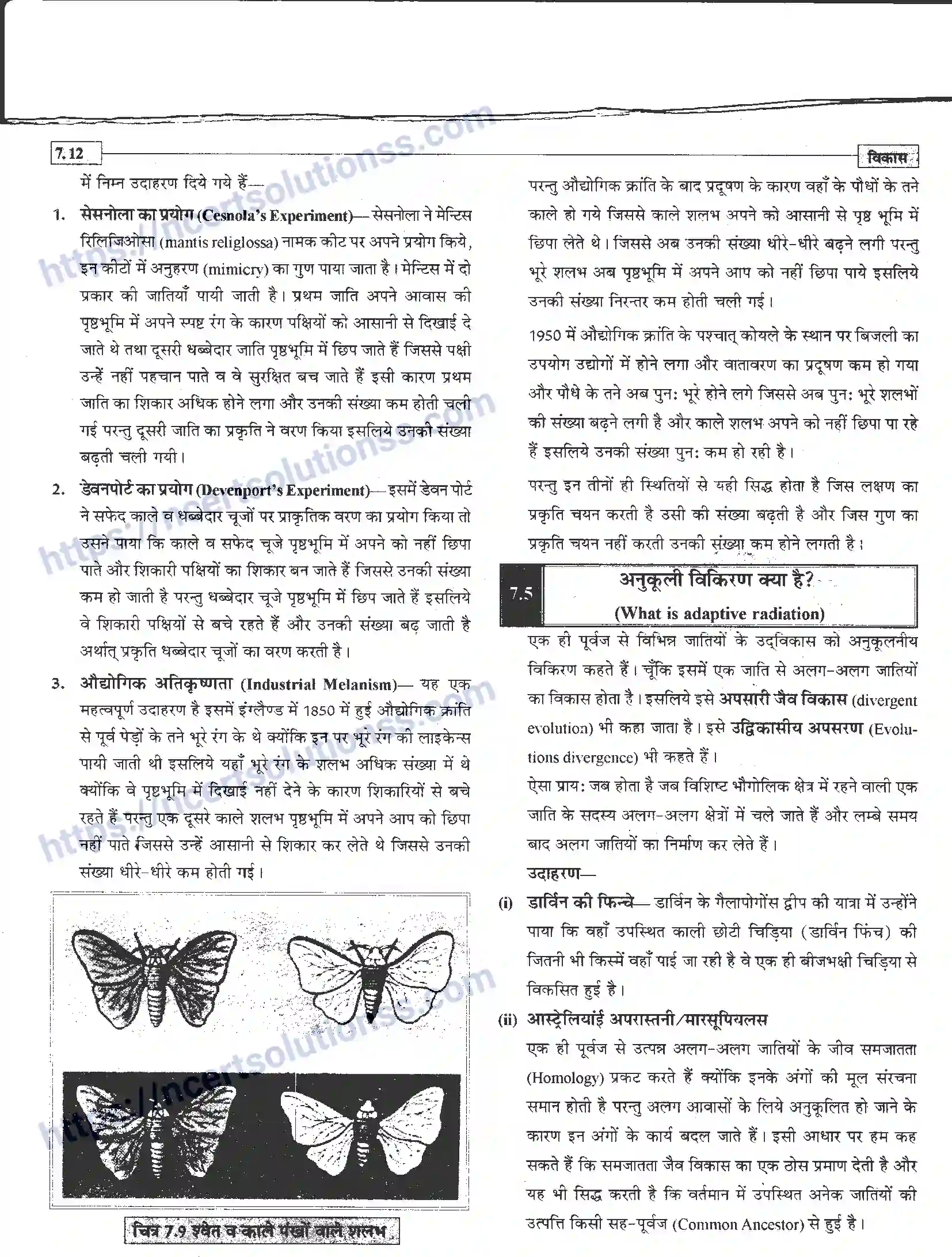 NCERT-Notes-Class-12-जीवand-विज्ञान-विकास-945-page-12