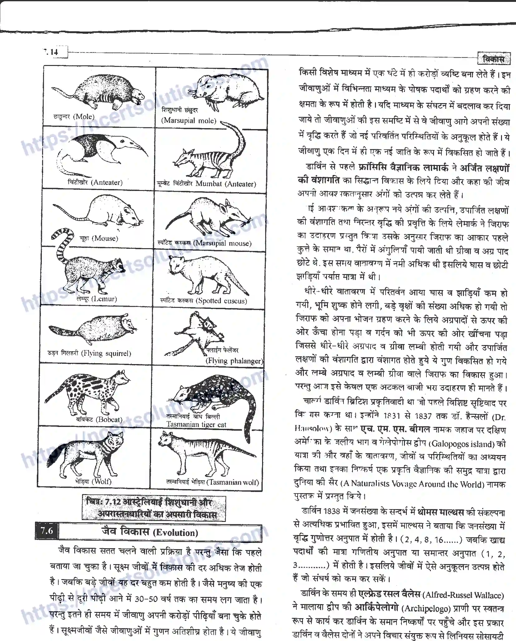 NCERT-Notes-Class-12-जीवand-विज्ञान-विकास-945-page-14