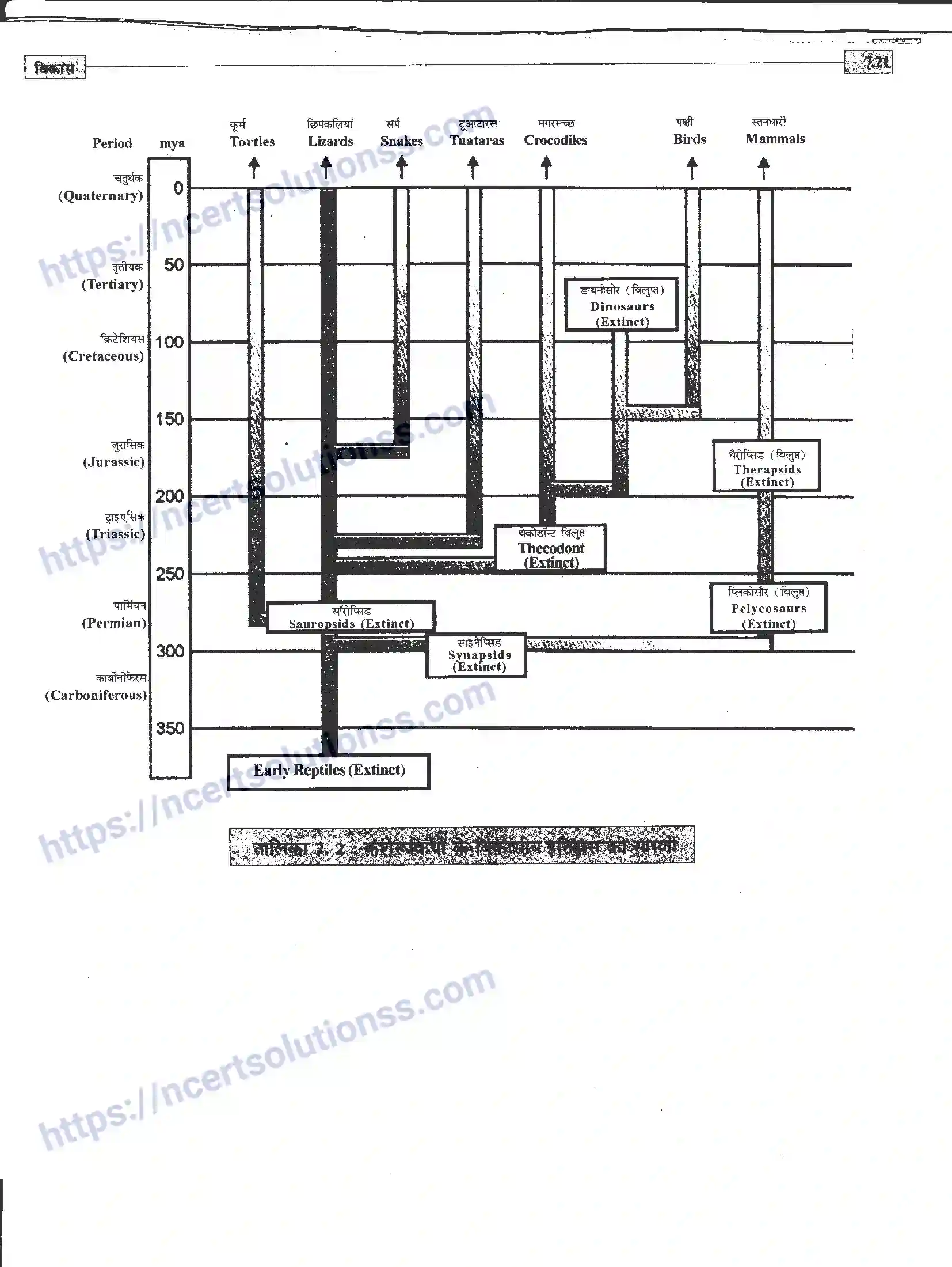 NCERT-Notes-Class-12-जीवand-विज्ञान-विकास-945-page-21