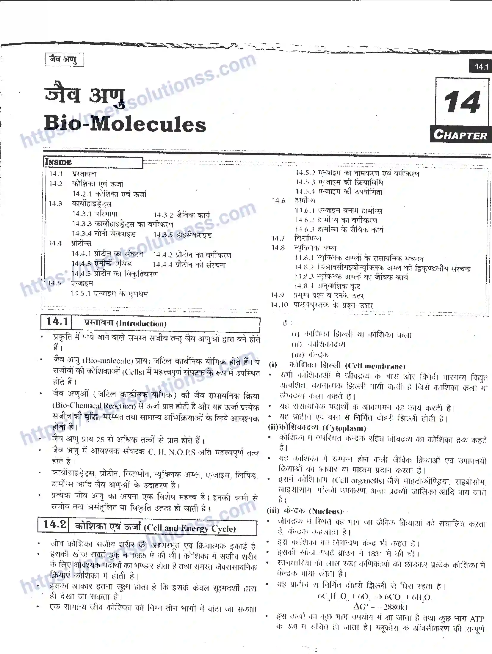 NCERT-Notes-Class-12-रसायन-विज्ञान-जैव-अणु-968-page-1