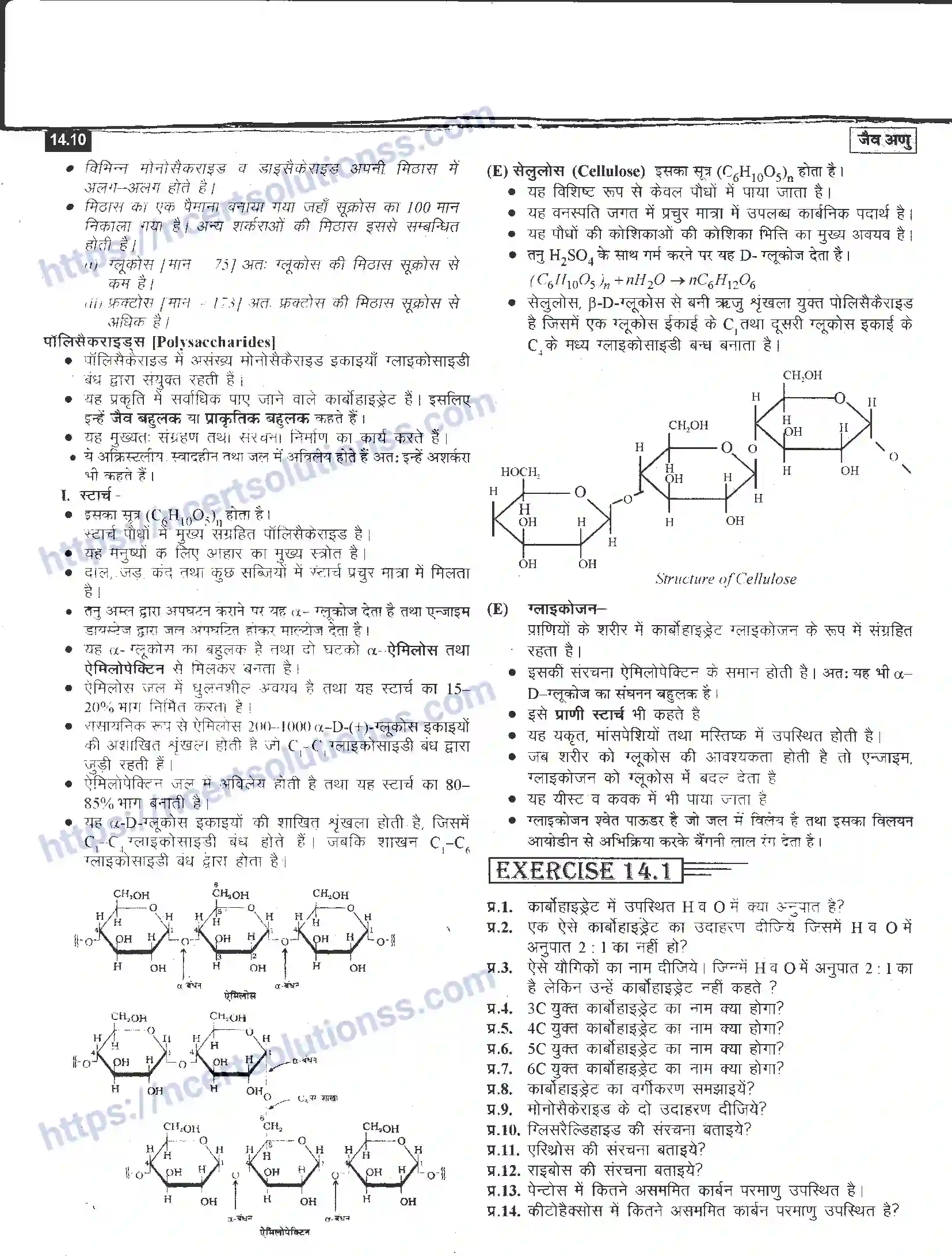 NCERT-Notes-Class-12-रसायन-विज्ञान-जैव-अणु-968-page-10