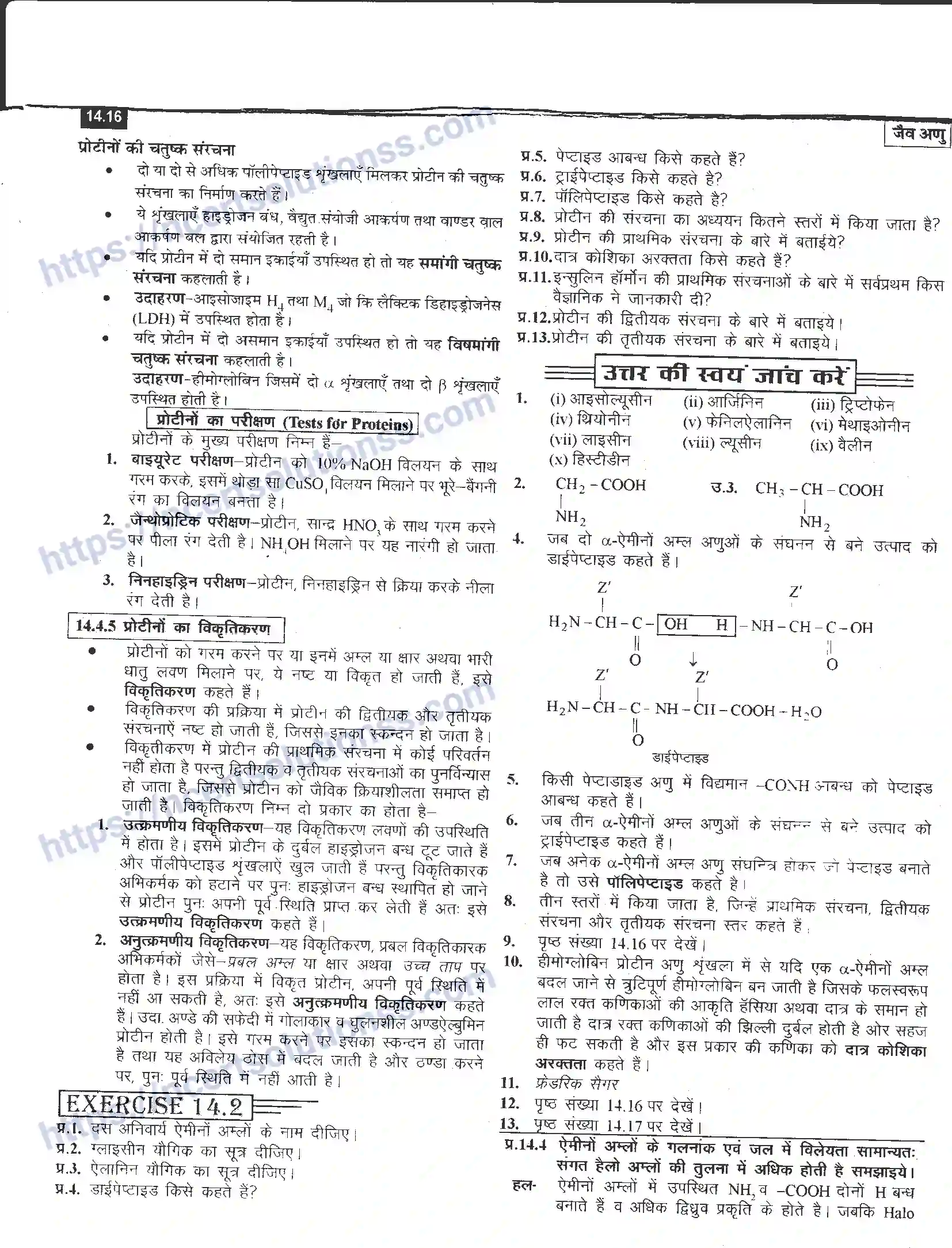 NCERT-Notes-Class-12-रसायन-विज्ञान-जैव-अणु-968-page-16