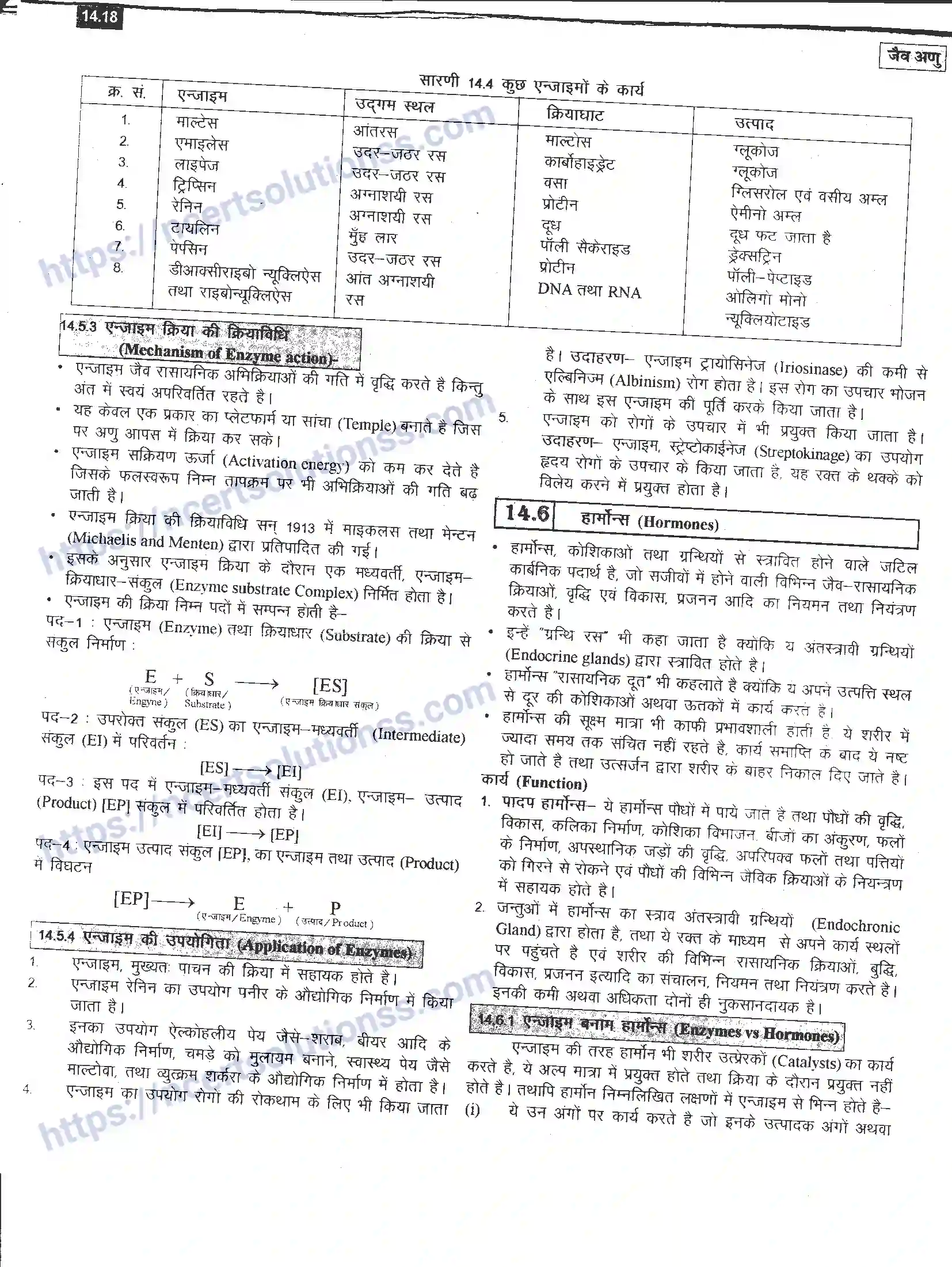 NCERT-Notes-Class-12-रसायन-विज्ञान-जैव-अणु-968-page-18