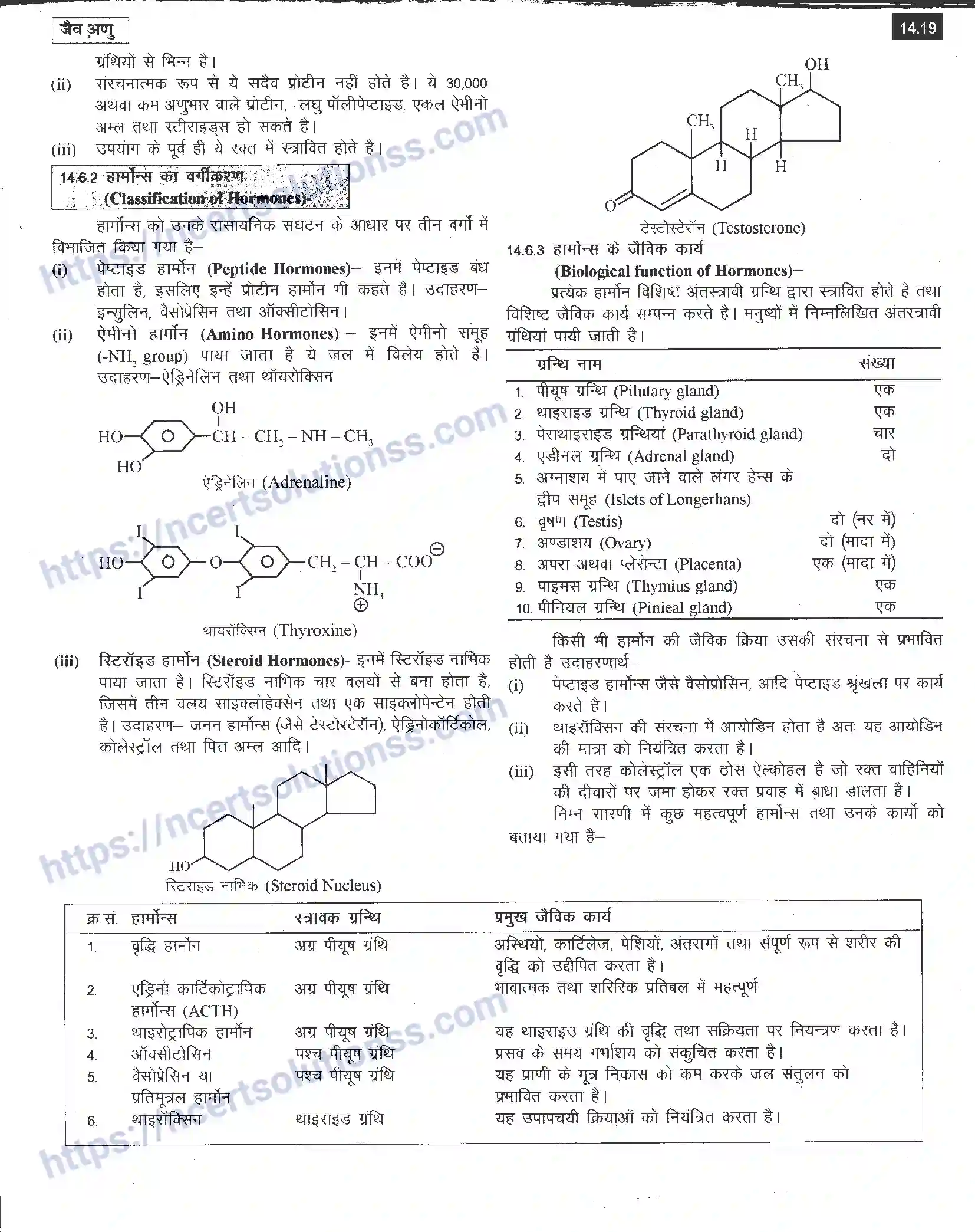 NCERT-Notes-Class-12-रसायन-विज्ञान-जैव-अणु-968-page-19