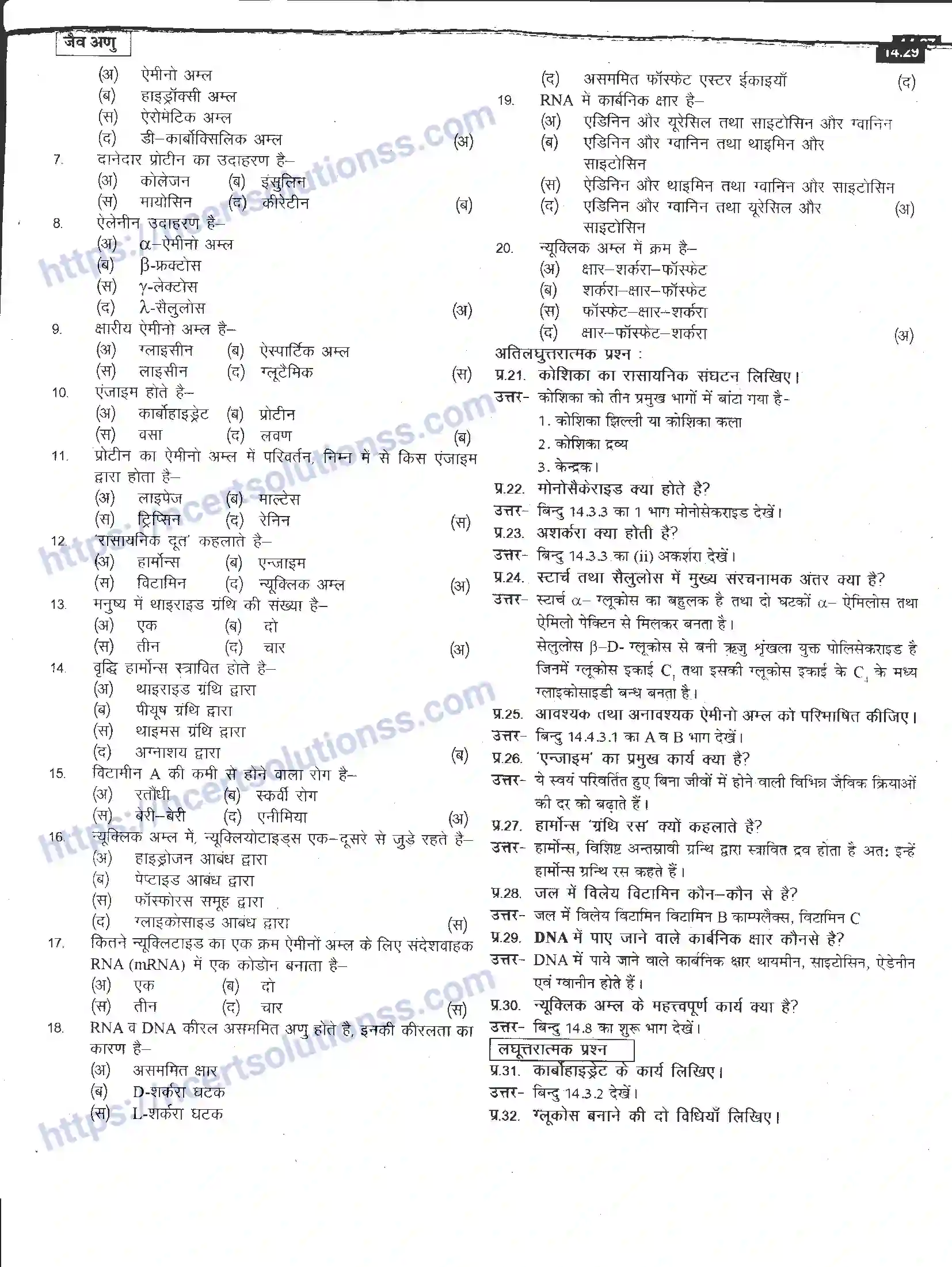 NCERT-Notes-Class-12-रसायन-विज्ञान-जैव-अणु-968-page-29