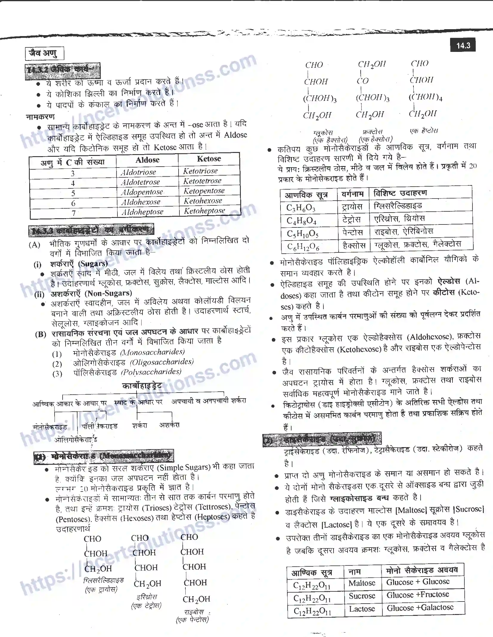 NCERT-Notes-Class-12-रसायन-विज्ञान-जैव-अणु-968-page-3