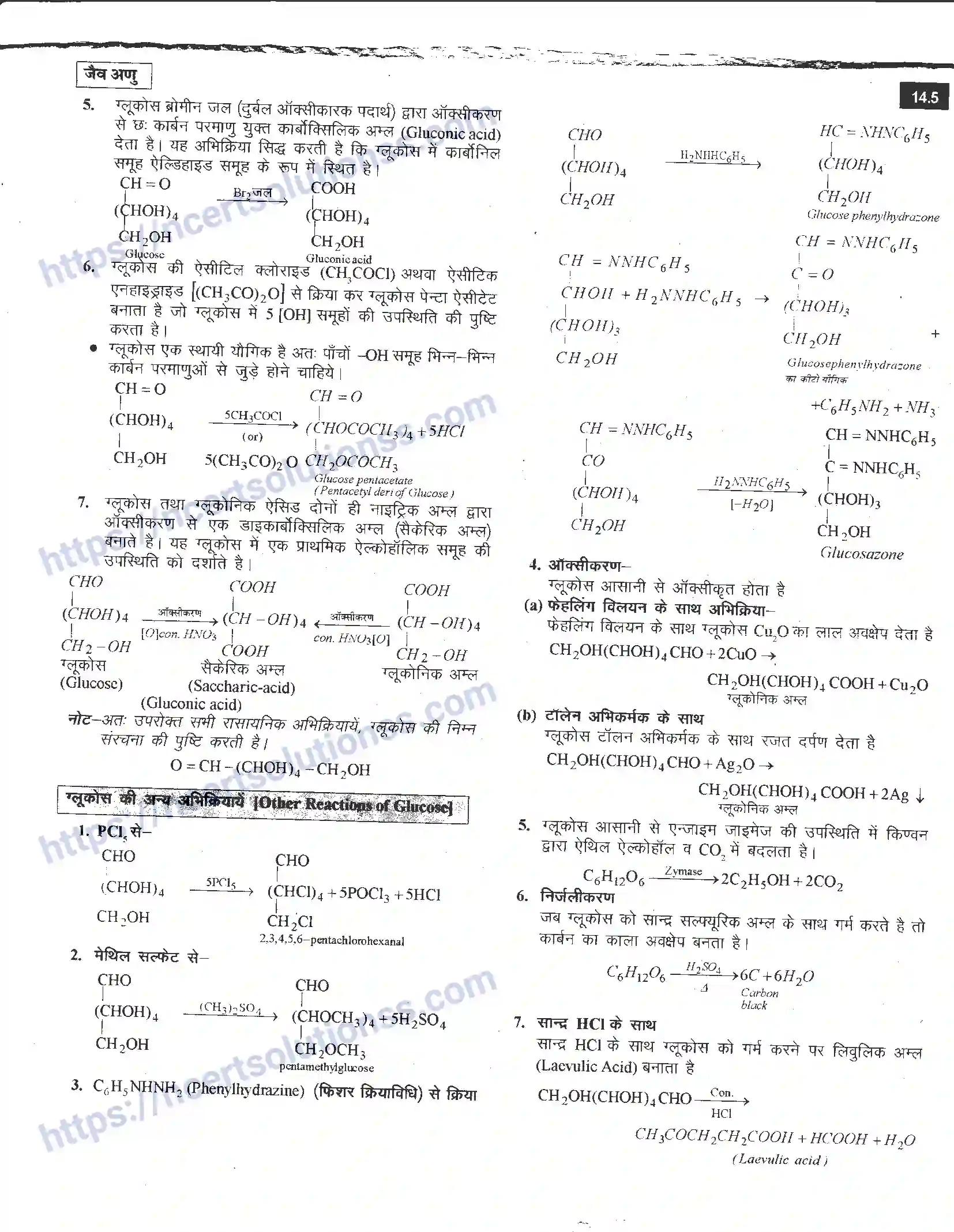 NCERT-Notes-Class-12-रसायन-विज्ञान-जैव-अणु-968-page-5