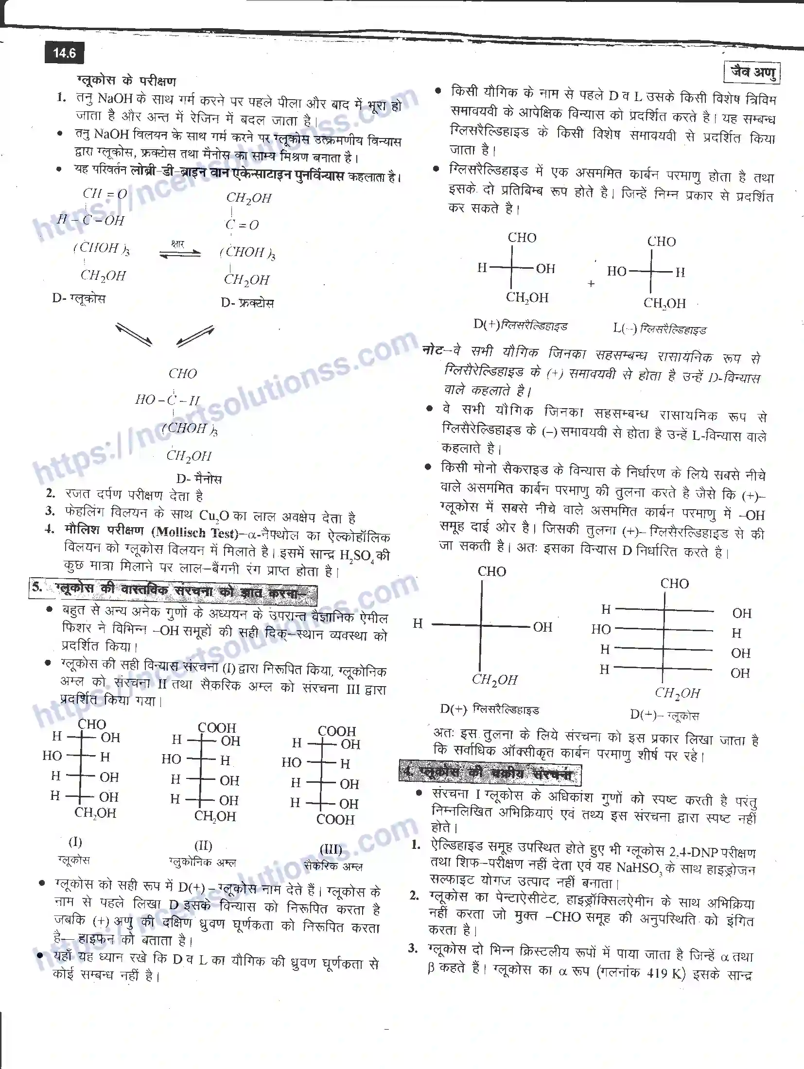 NCERT-Notes-Class-12-रसायन-विज्ञान-जैव-अणु-968-page-6