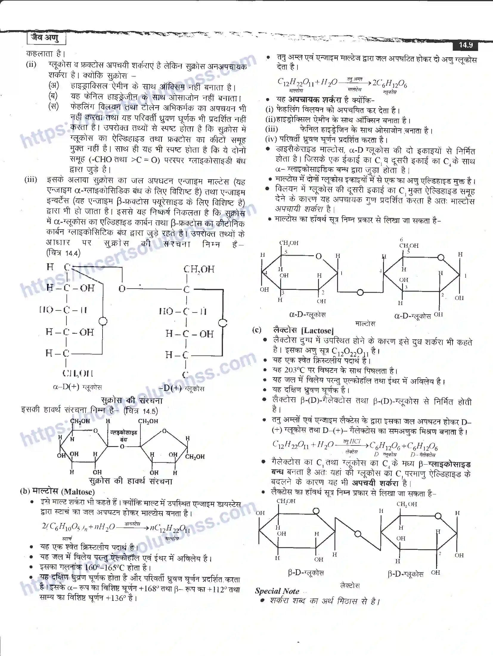 NCERT-Notes-Class-12-रसायन-विज्ञान-जैव-अणु-968-page-9