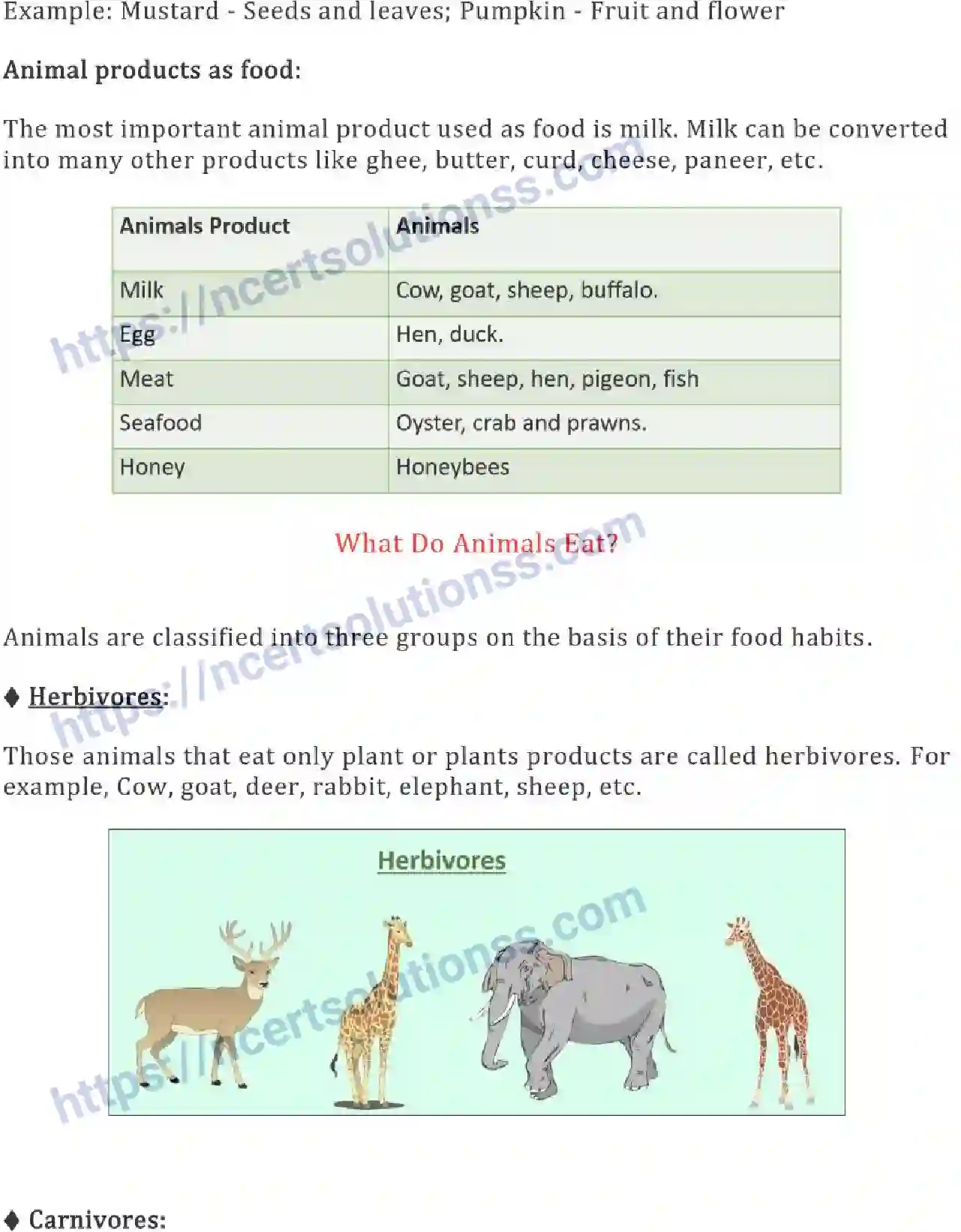 NCERT-Notes-Class-6-Science-Ch-01-Food-Where-Does-it-Come-From-746-page-3