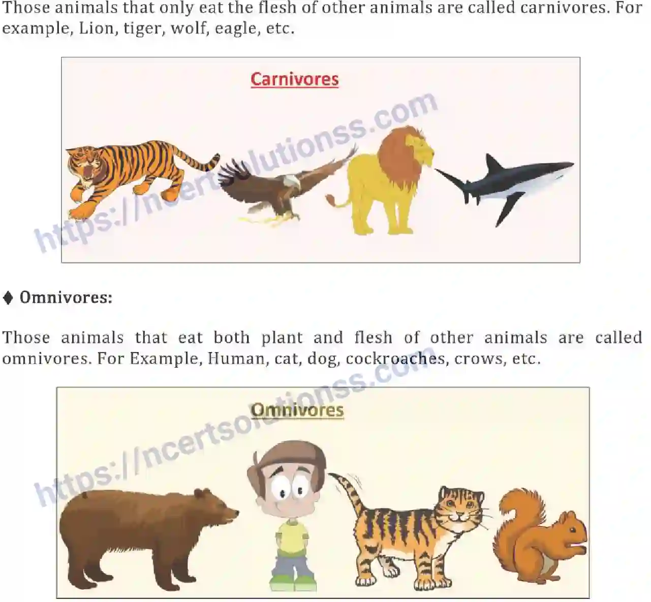 NCERT-Notes-Class-6-Science-Ch-01-Food-Where-Does-it-Come-From-746-page-4