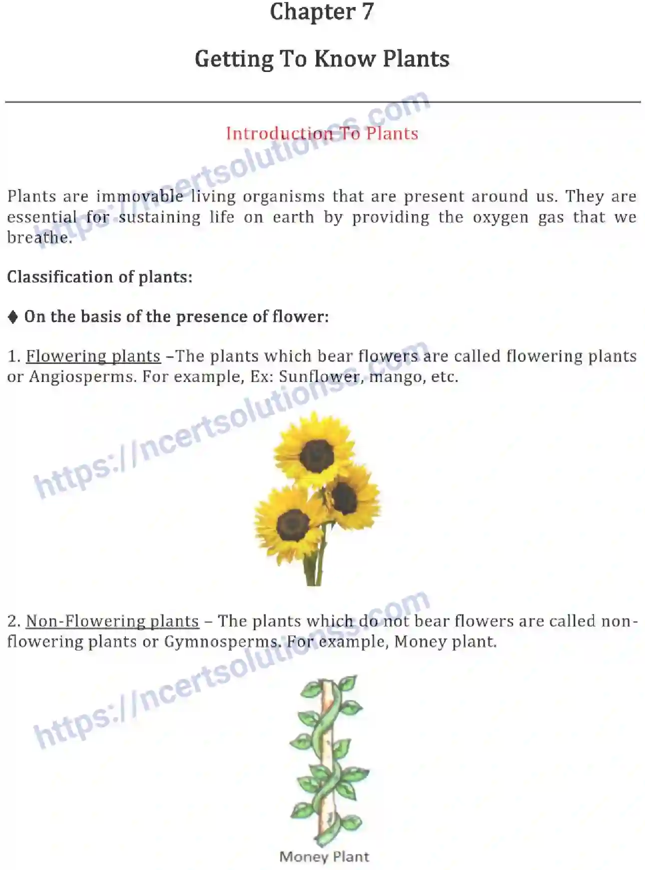 NCERT-Notes-Class-6-Science-Ch-07-Getting-to-Know-Plants-752-page-1