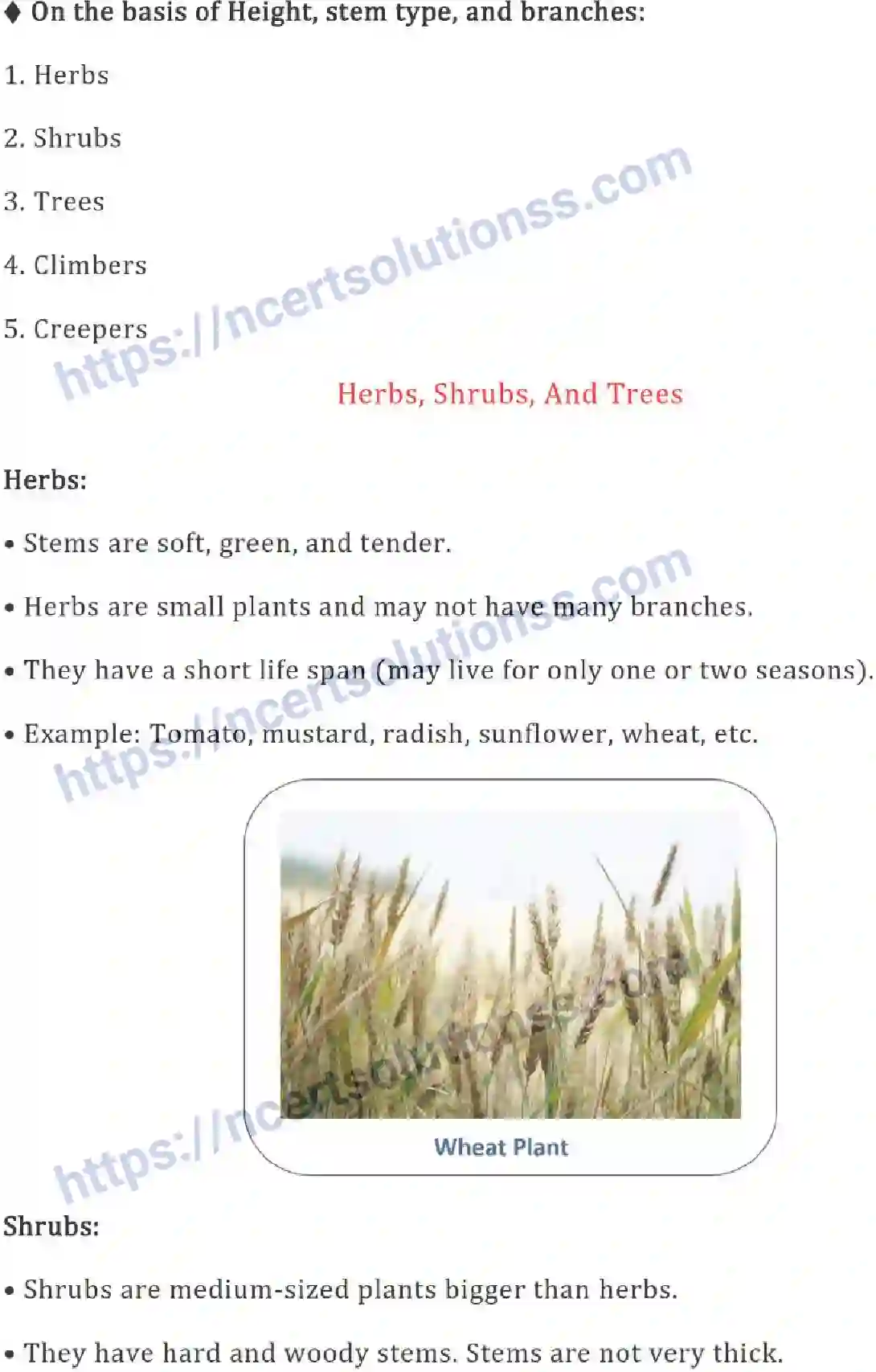 NCERT-Notes-Class-6-Science-Ch-07-Getting-to-Know-Plants-752-page-2