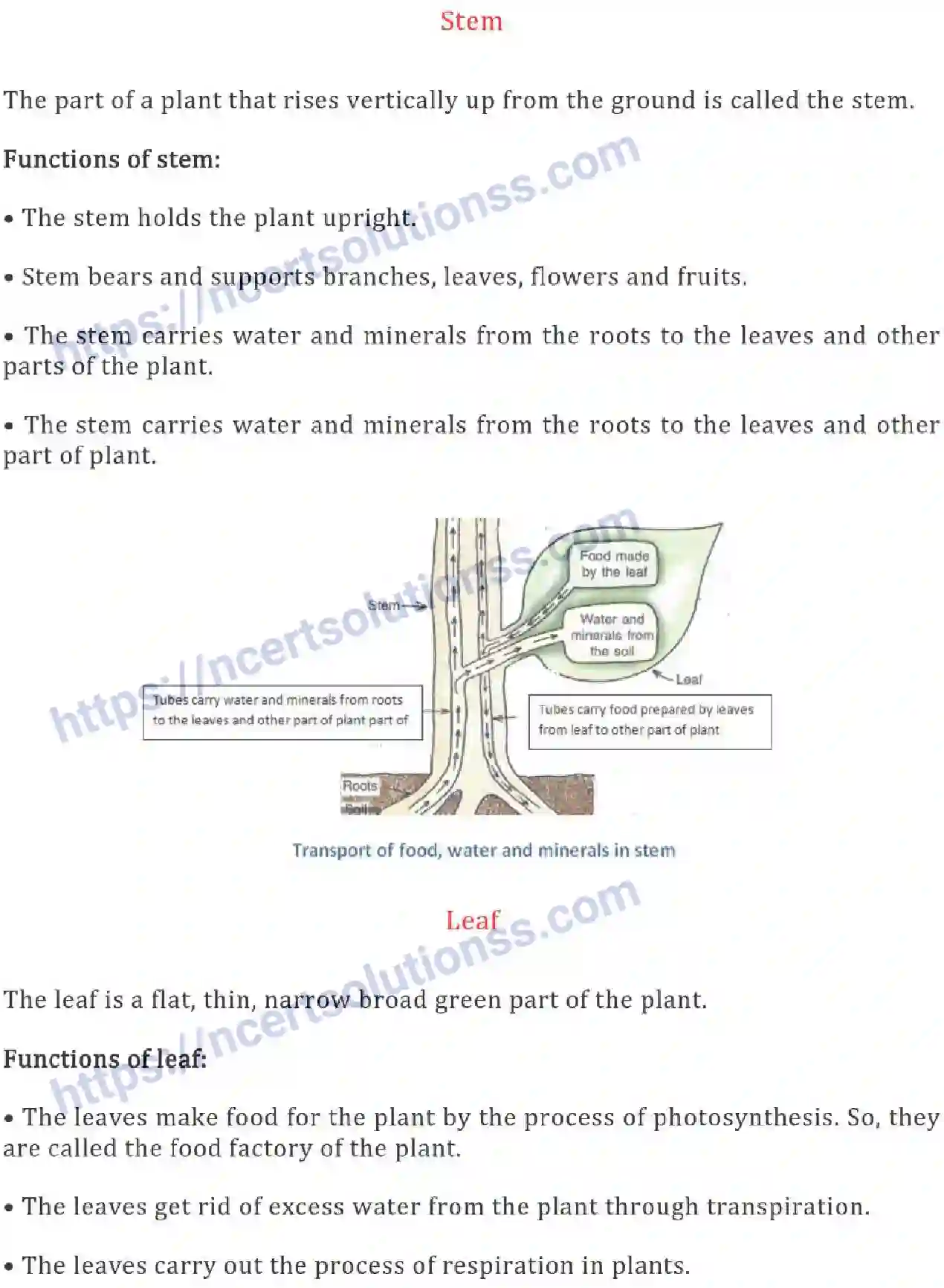 NCERT-Notes-Class-6-Science-Ch-07-Getting-to-Know-Plants-752-page-5
