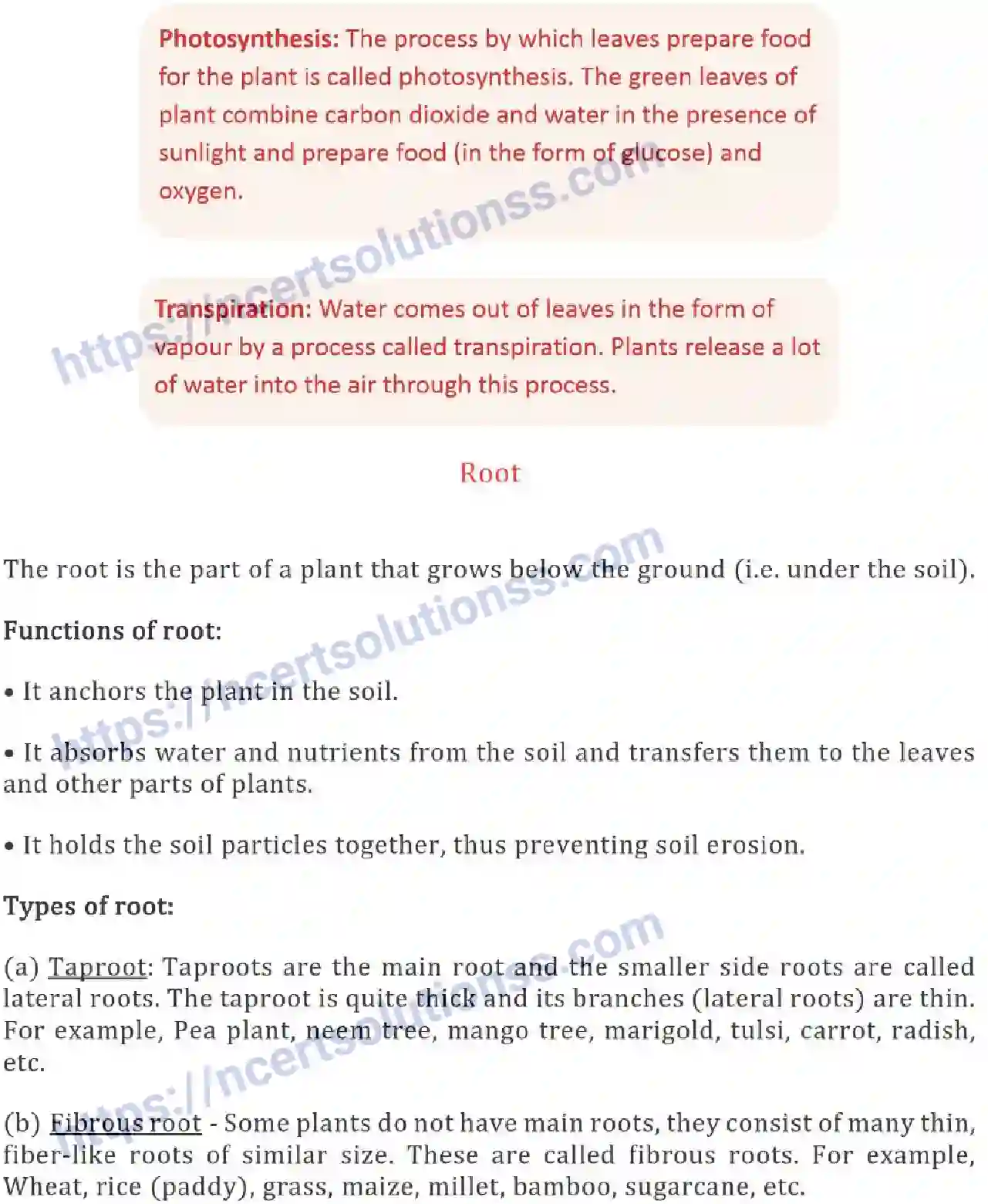 NCERT-Notes-Class-6-Science-Ch-07-Getting-to-Know-Plants-752-page-7