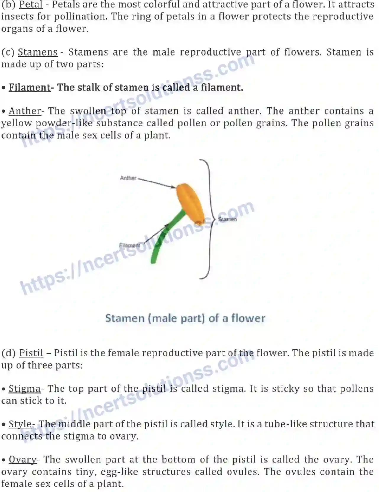 NCERT-Notes-Class-6-Science-Ch-07-Getting-to-Know-Plants-752-page-9