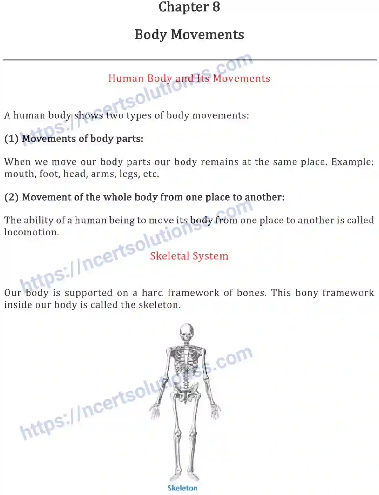NCERT-Notes-Class-6-Science-Ch-08-Body-Movements-753-page-1