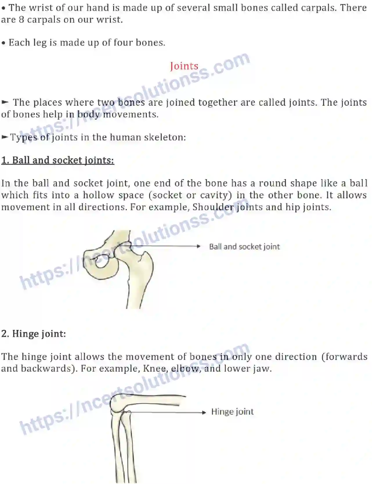 NCERT-Notes-Class-6-Science-Ch-08-Body-Movements-753-page-5