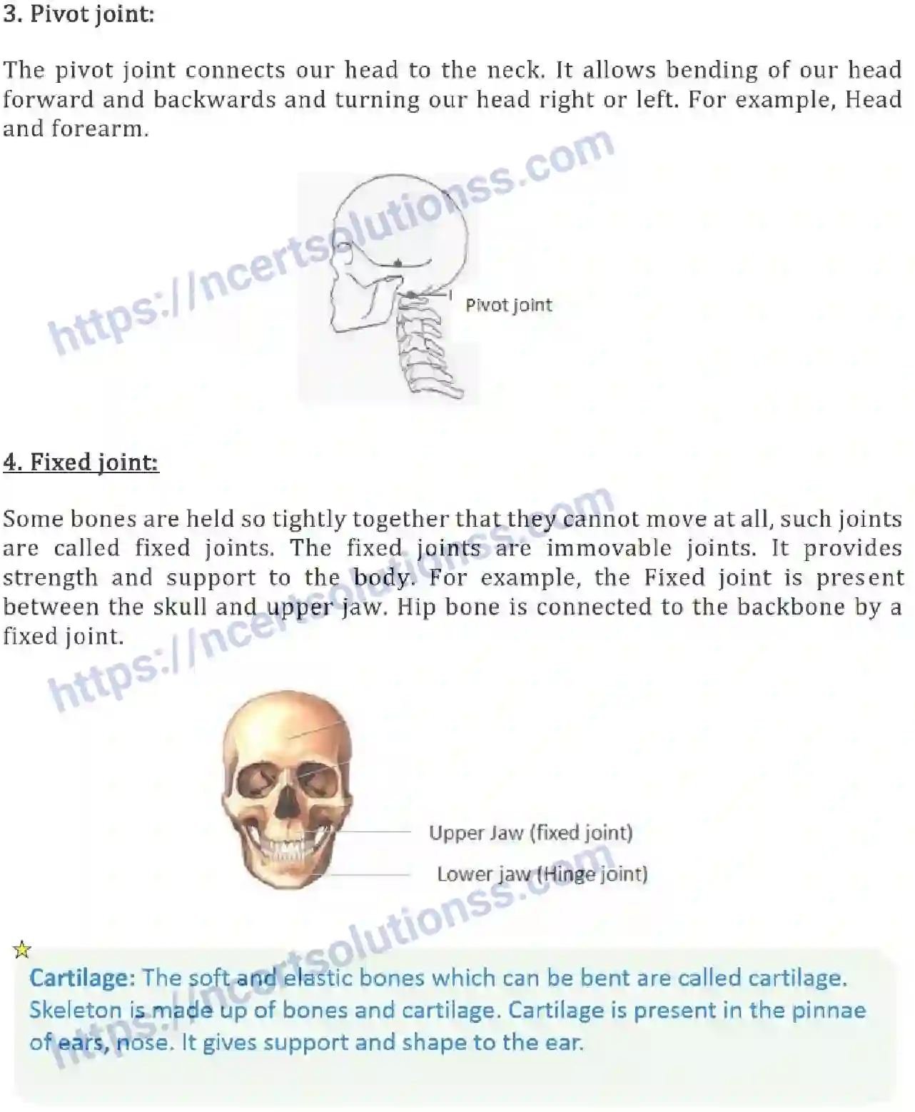 NCERT-Notes-Class-6-Science-Ch-08-Body-Movements-753-page-6