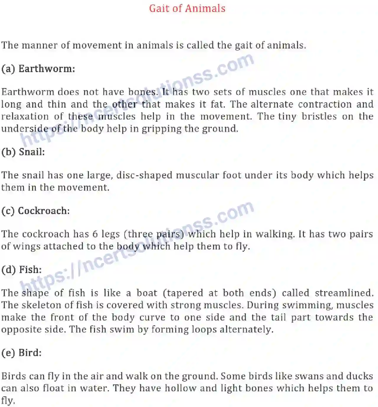 NCERT-Notes-Class-6-Science-Ch-08-Body-Movements-753-page-8