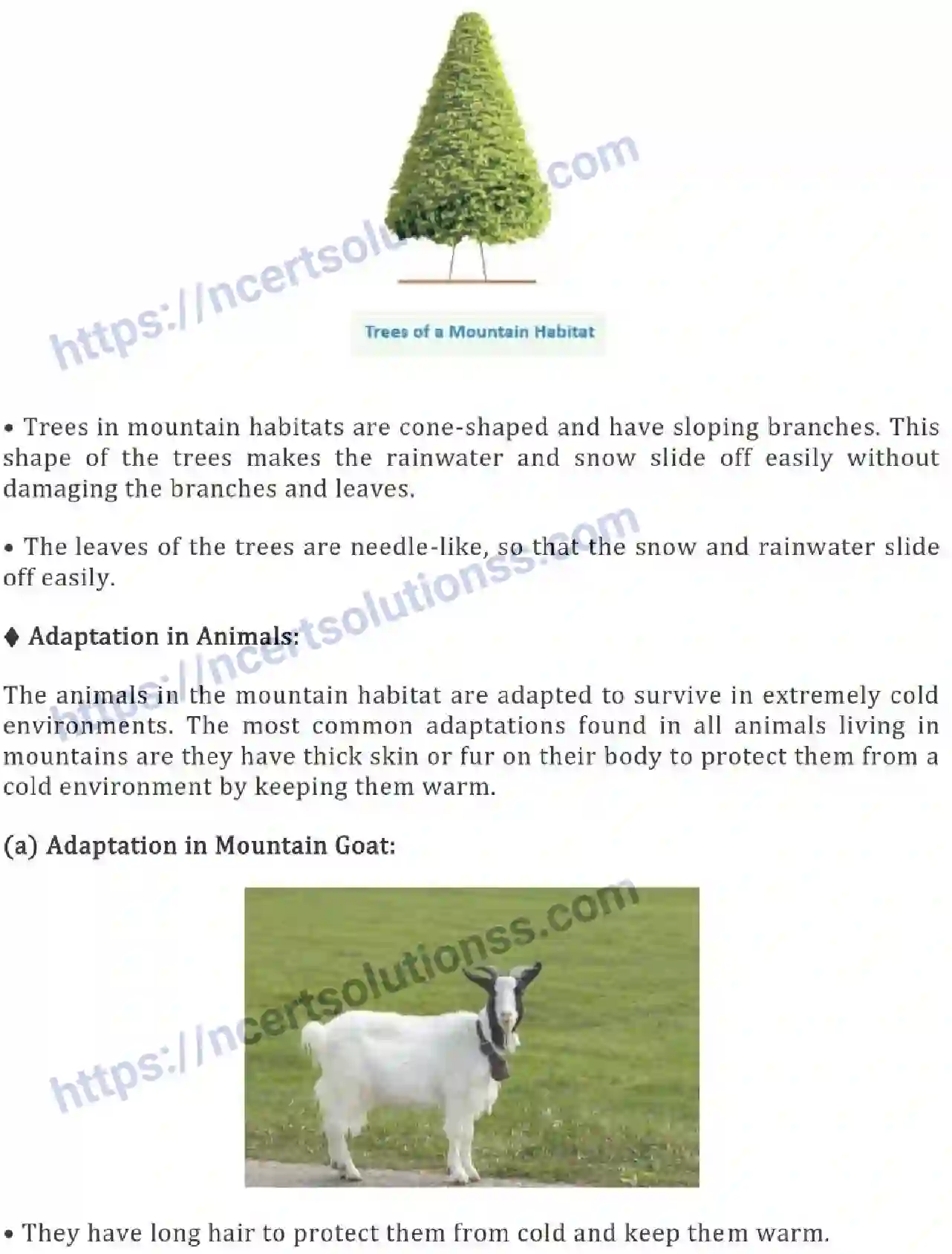 NCERT-Notes-Class-6-Science-Ch-09-The-Living-Organisms-Characteristics-and-Habitats-754-page-4