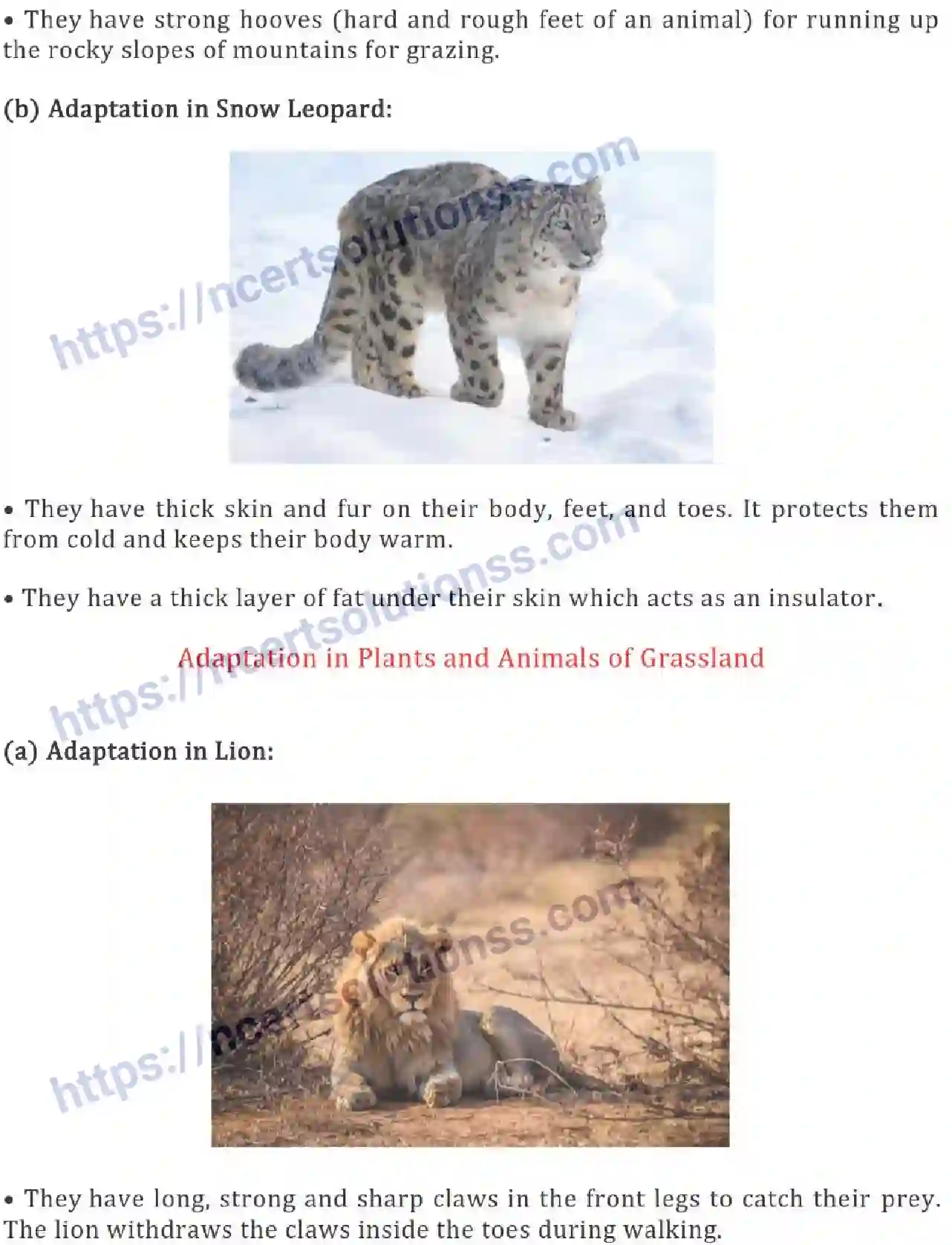 NCERT-Notes-Class-6-Science-Ch-09-The-Living-Organisms-Characteristics-and-Habitats-754-page-5