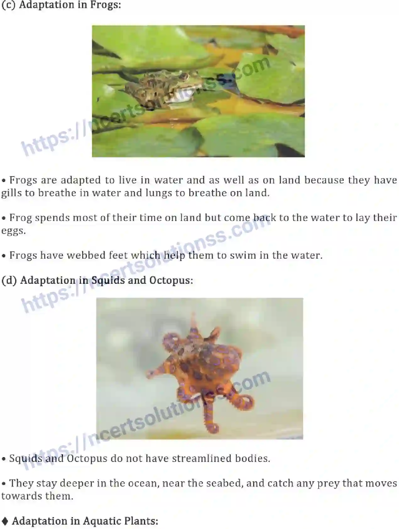 NCERT-Notes-Class-6-Science-Ch-09-The-Living-Organisms-Characteristics-and-Habitats-754-page-8