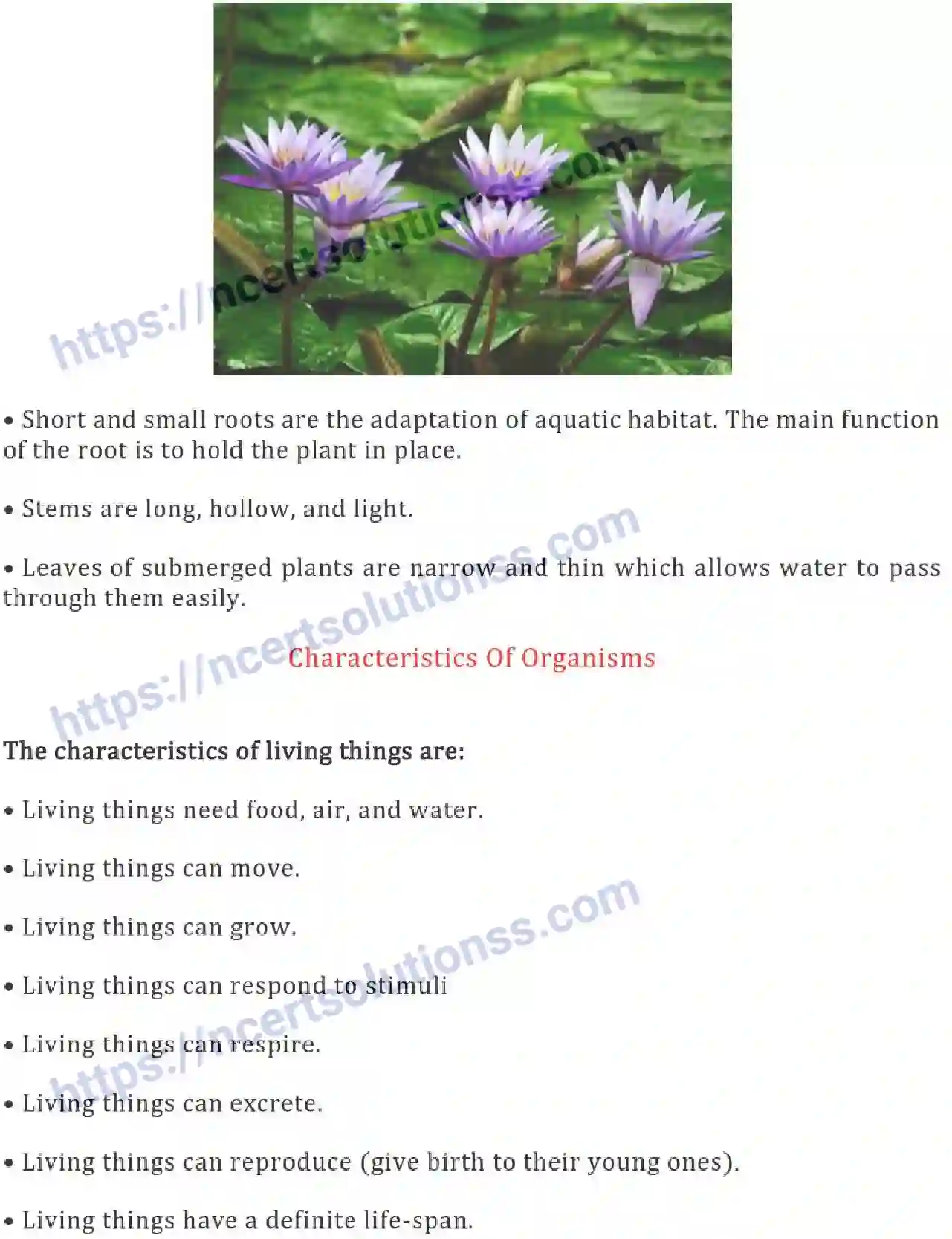 NCERT-Notes-Class-6-Science-Ch-09-The-Living-Organisms-Characteristics-and-Habitats-754-page-9