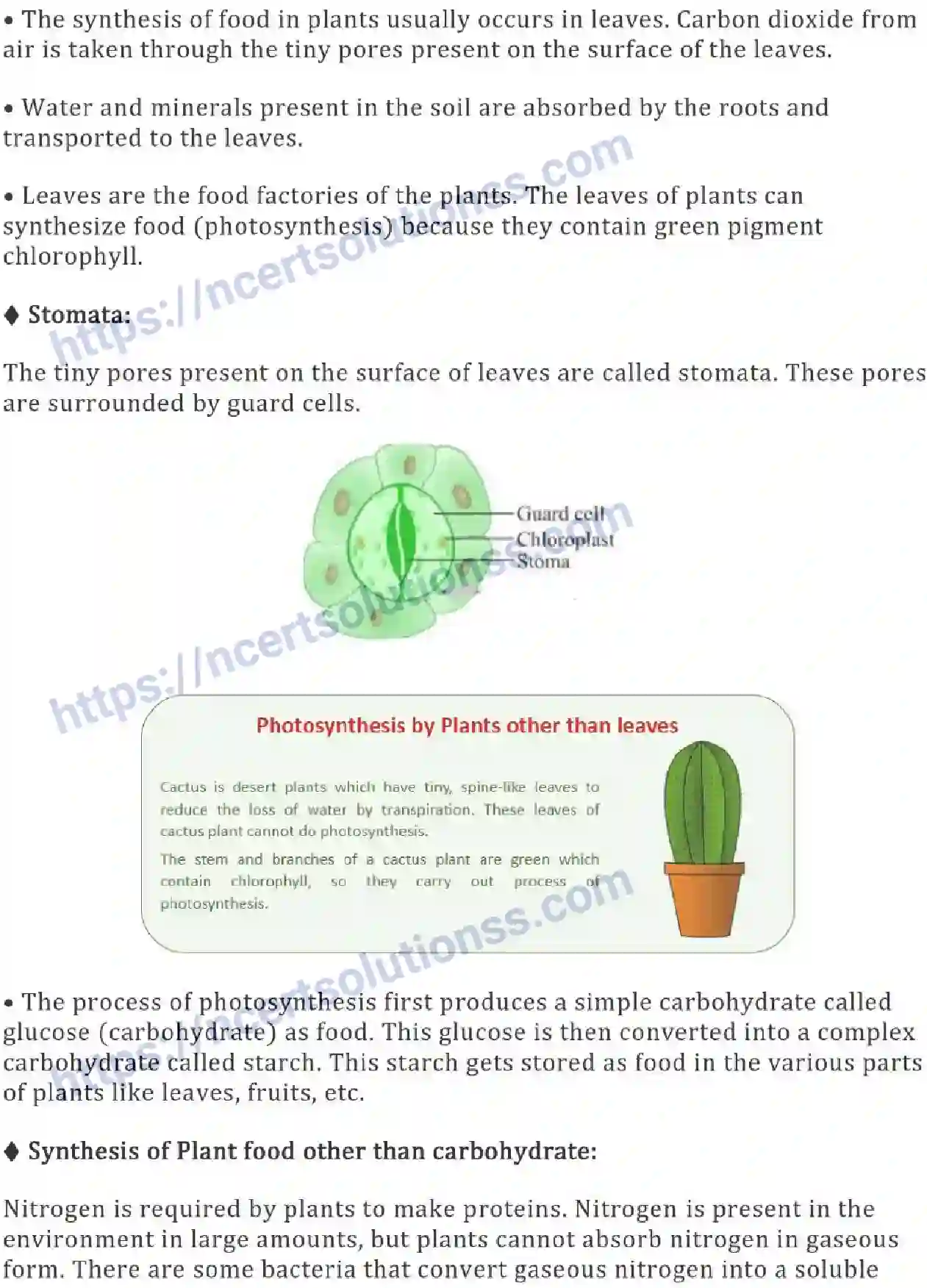 NCERT-Notes-Class-7-Science-Ch-01-Nutrients-in-Plants-684-page-2