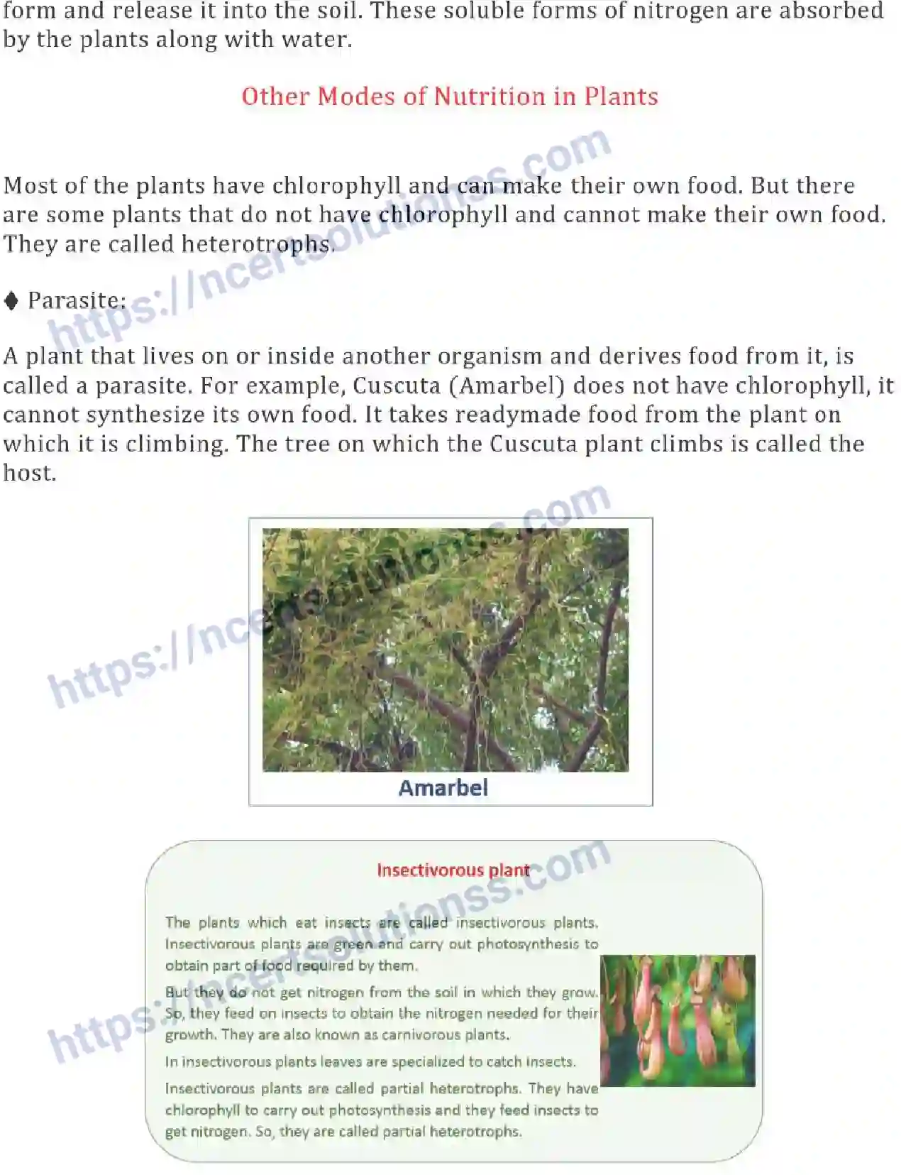 NCERT-Notes-Class-7-Science-Ch-01-Nutrients-in-Plants-684-page-3