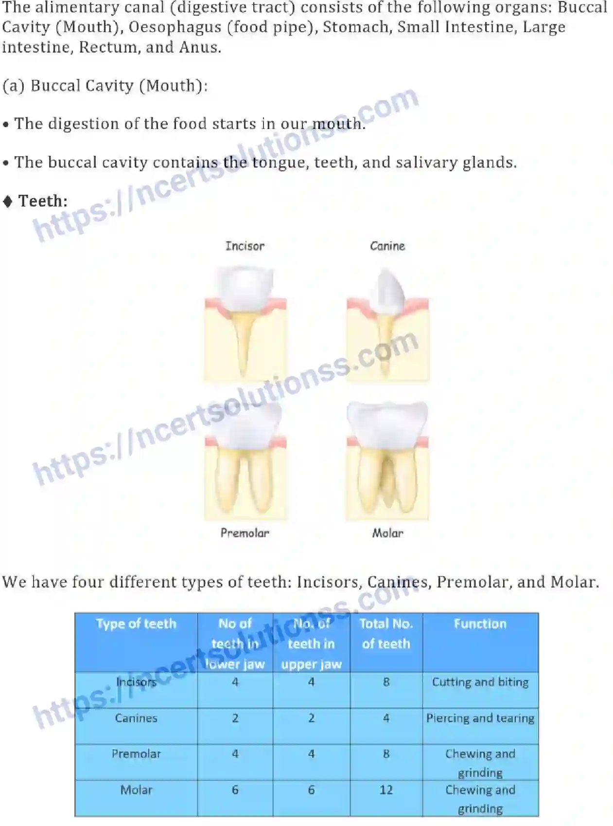 NCERT-Notes-Class-7-Science-Ch-02-Nutrients-in-Animals-685-page-3