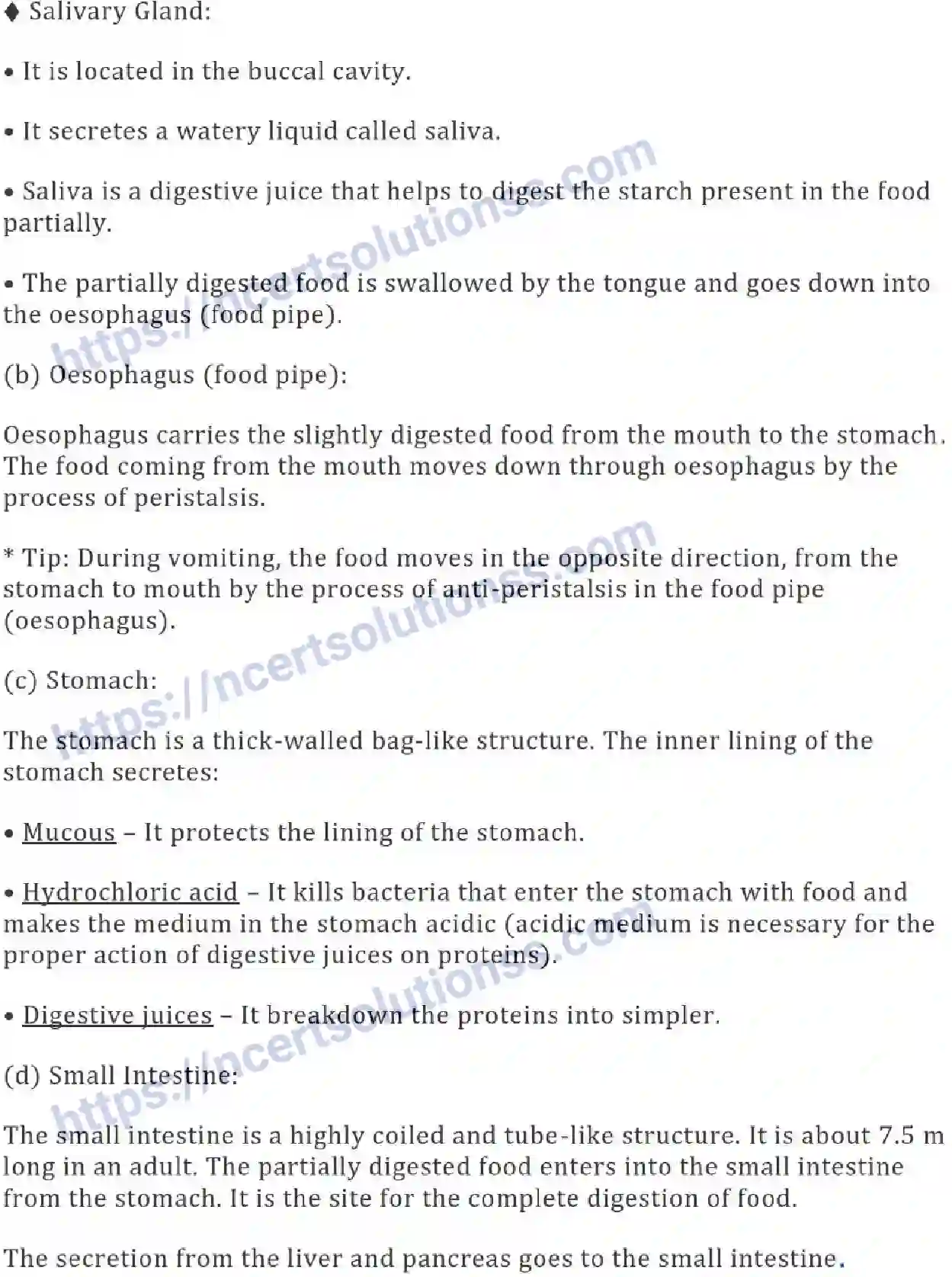 NCERT-Notes-Class-7-Science-Ch-02-Nutrients-in-Animals-685-page-4