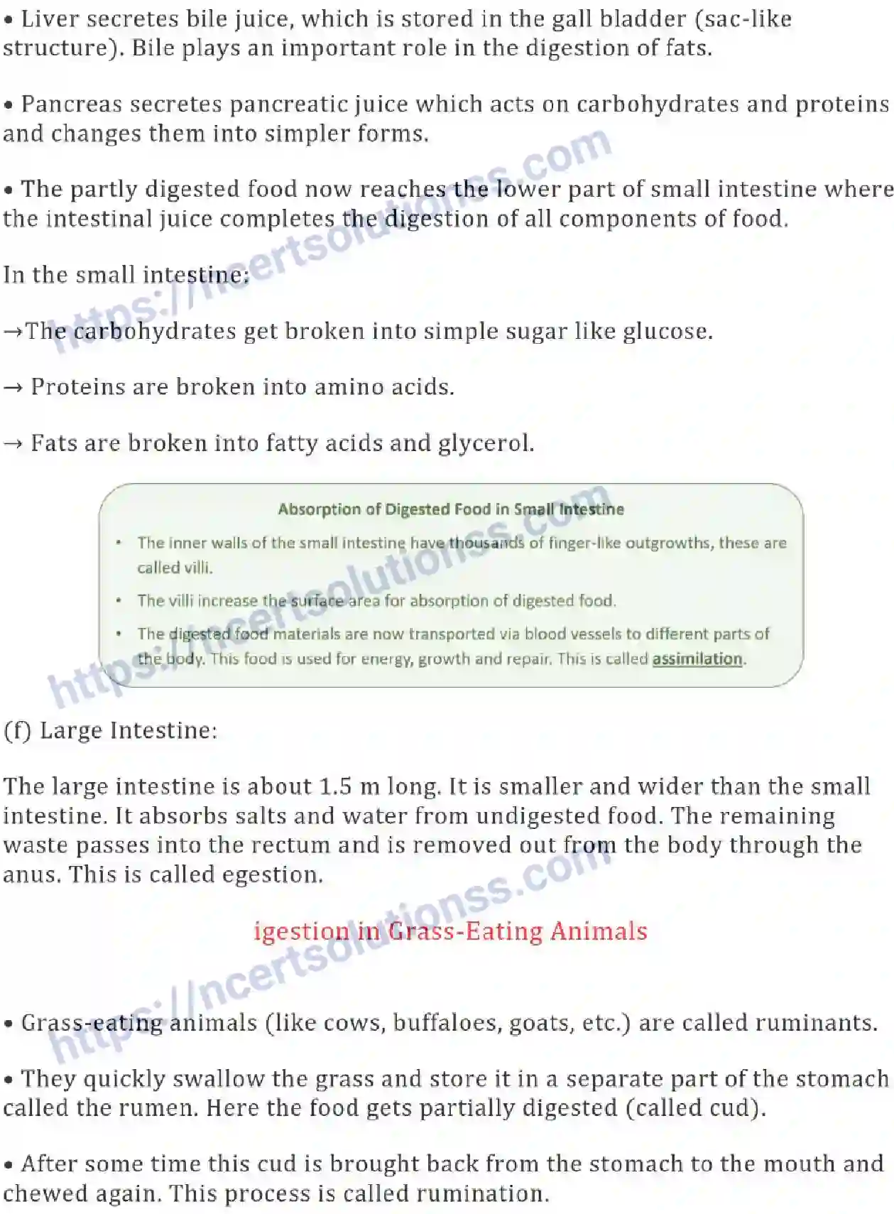 NCERT-Notes-Class-7-Science-Ch-02-Nutrients-in-Animals-685-page-5