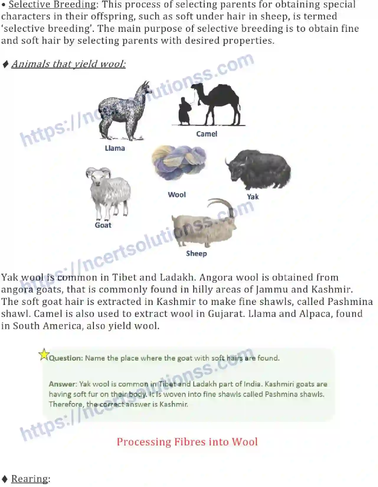 NCERT-Notes-Class-7-Science-Ch-03-Fibre-to-Fabric-686-page-2